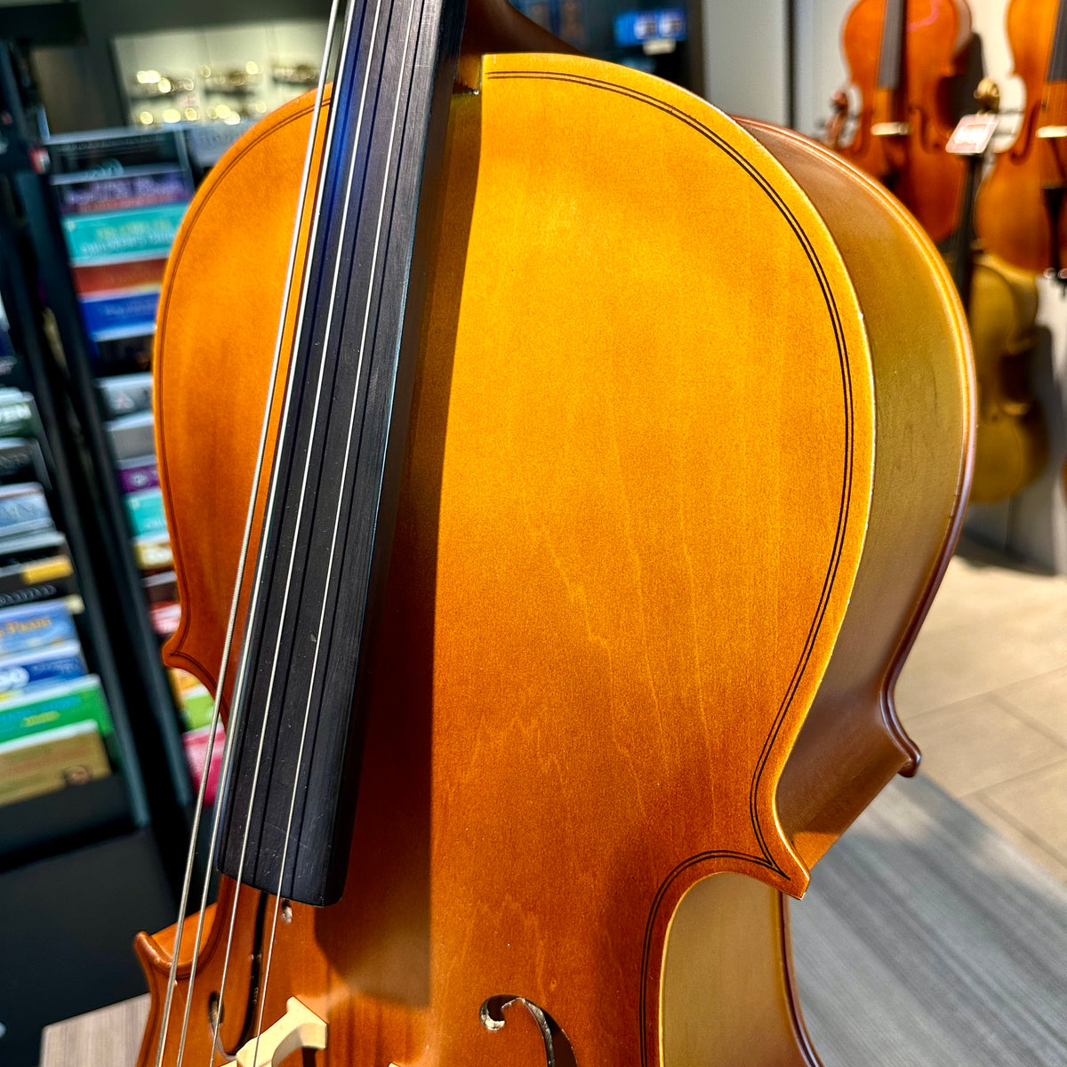Strumenti a Corde: 105, 1/2 Cello, anno 2018
