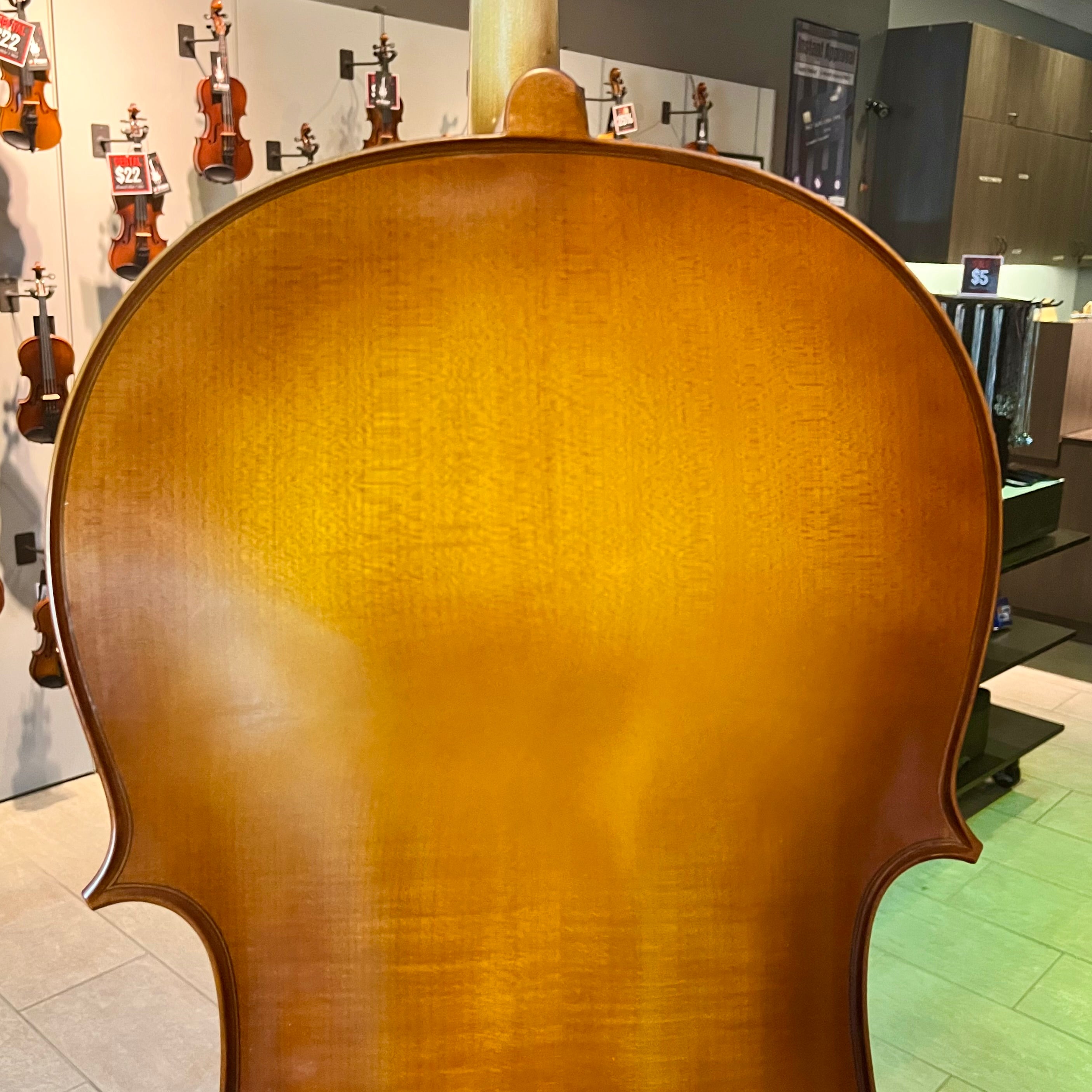Strumenti a Corde 205: Student Cello, Solid, Satin, 4/4