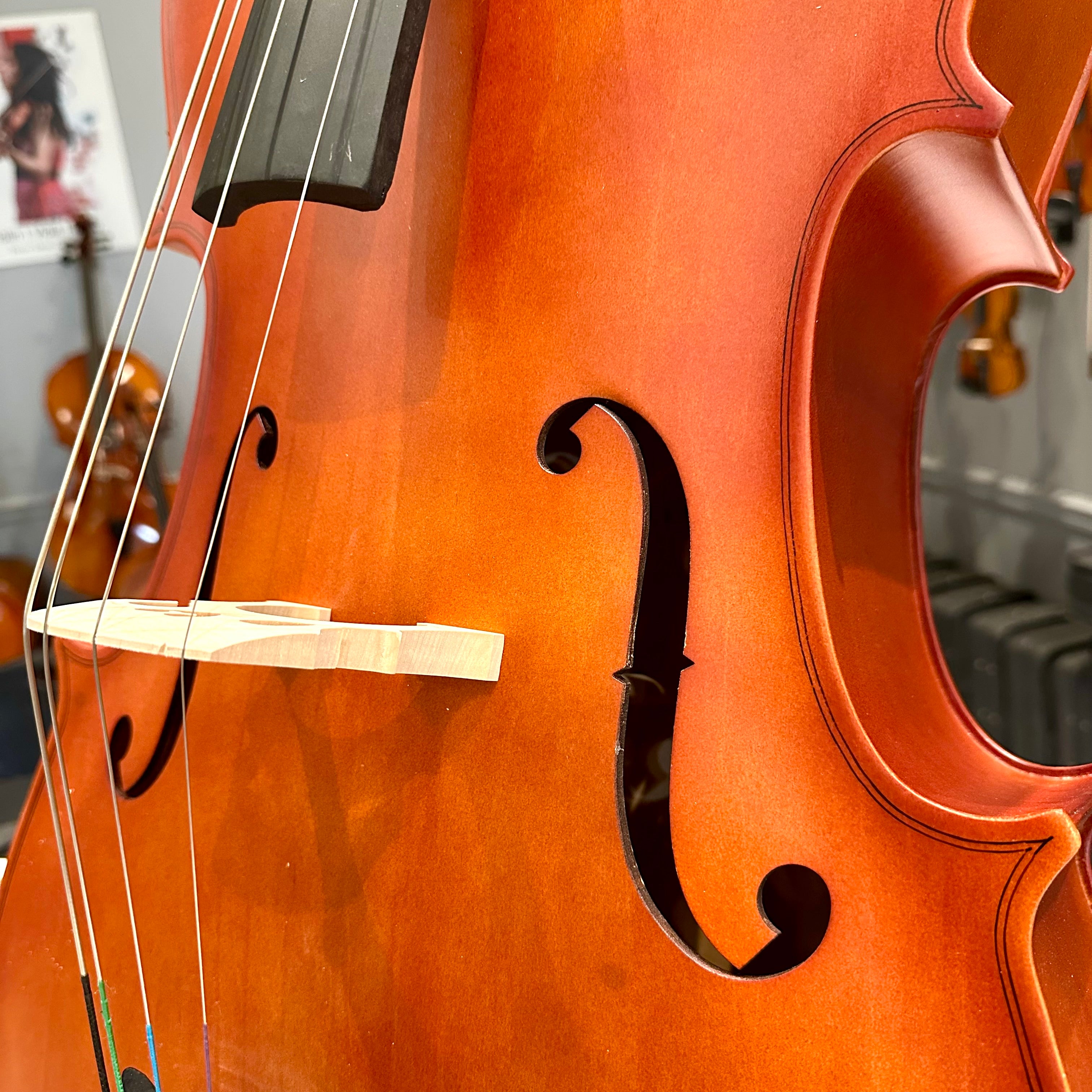 BACK TO SCHOOL SPECIAL: Strumenti a Corde 106: Student Cello, Laminate, Dark Matte - 4/4