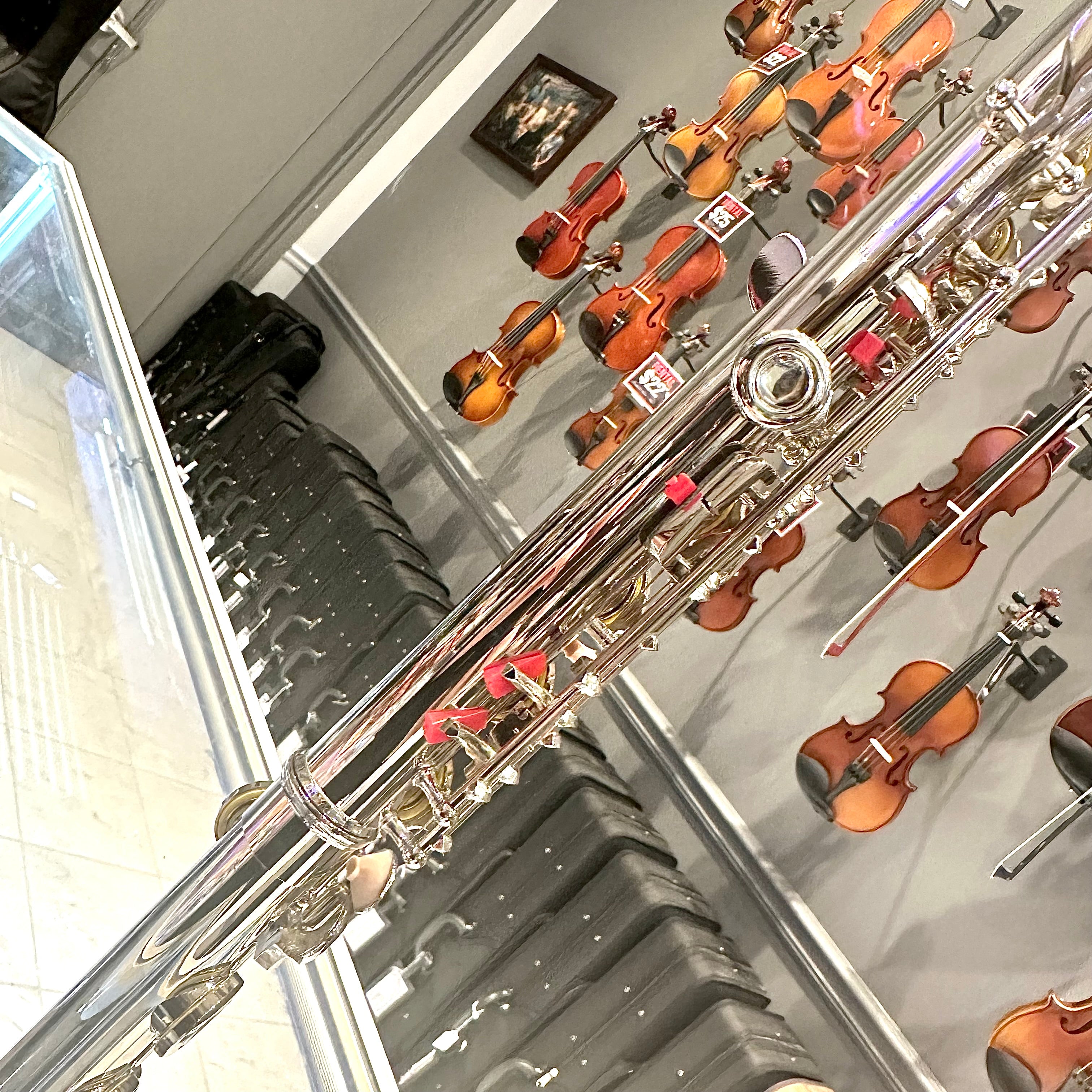 Rebrand F2: Student Flute, Beginner