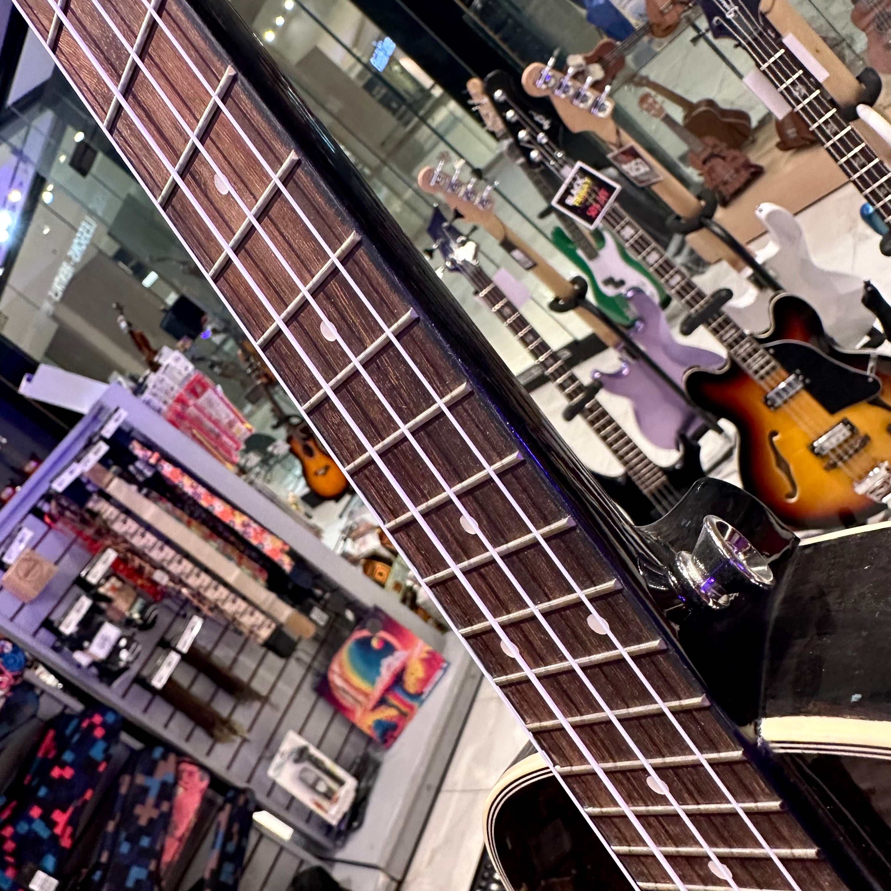 AKUA Earth: 24' Concert Ukulele, Mahogany - Black