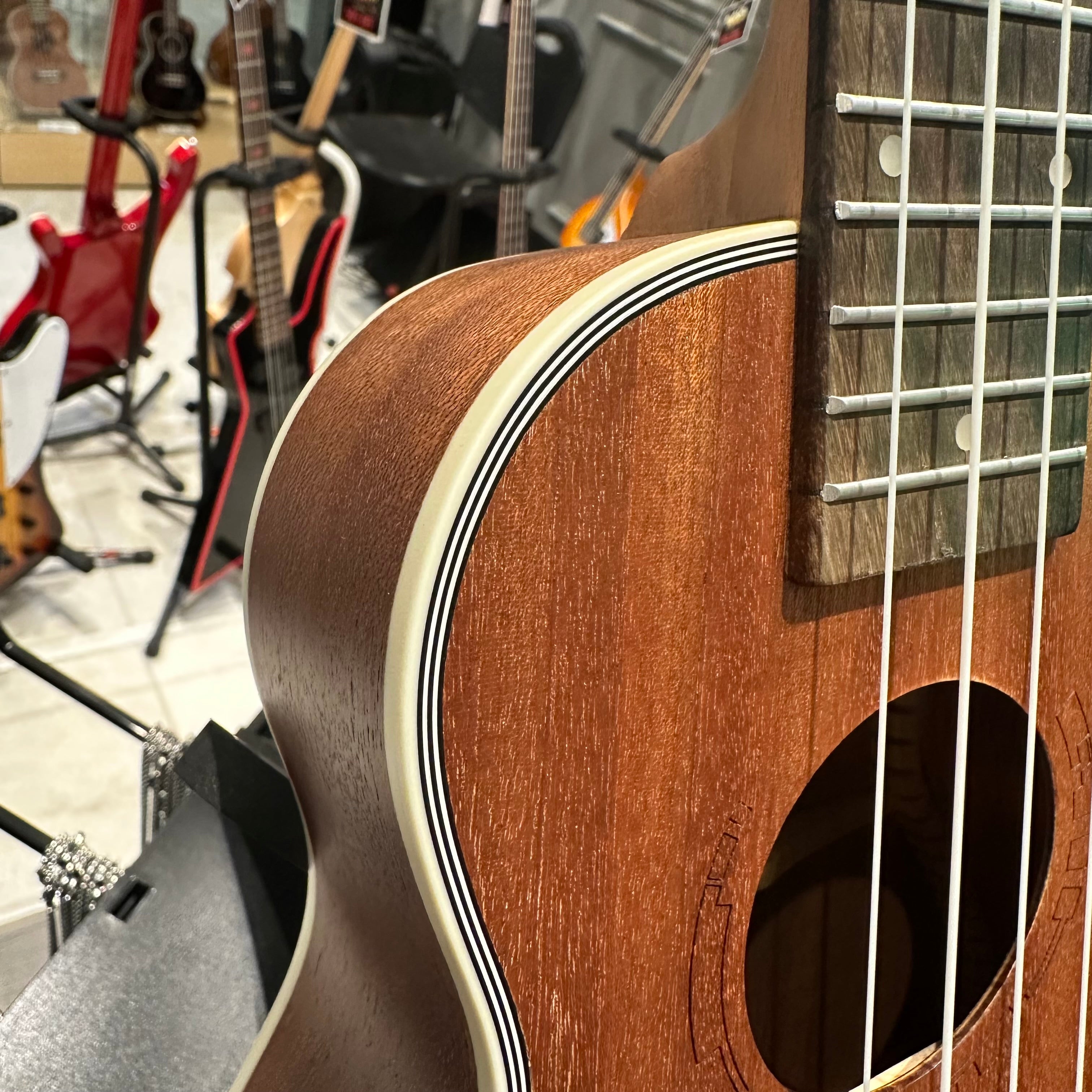 AKUA Rain: 21" Concert Ukulele - Sapele