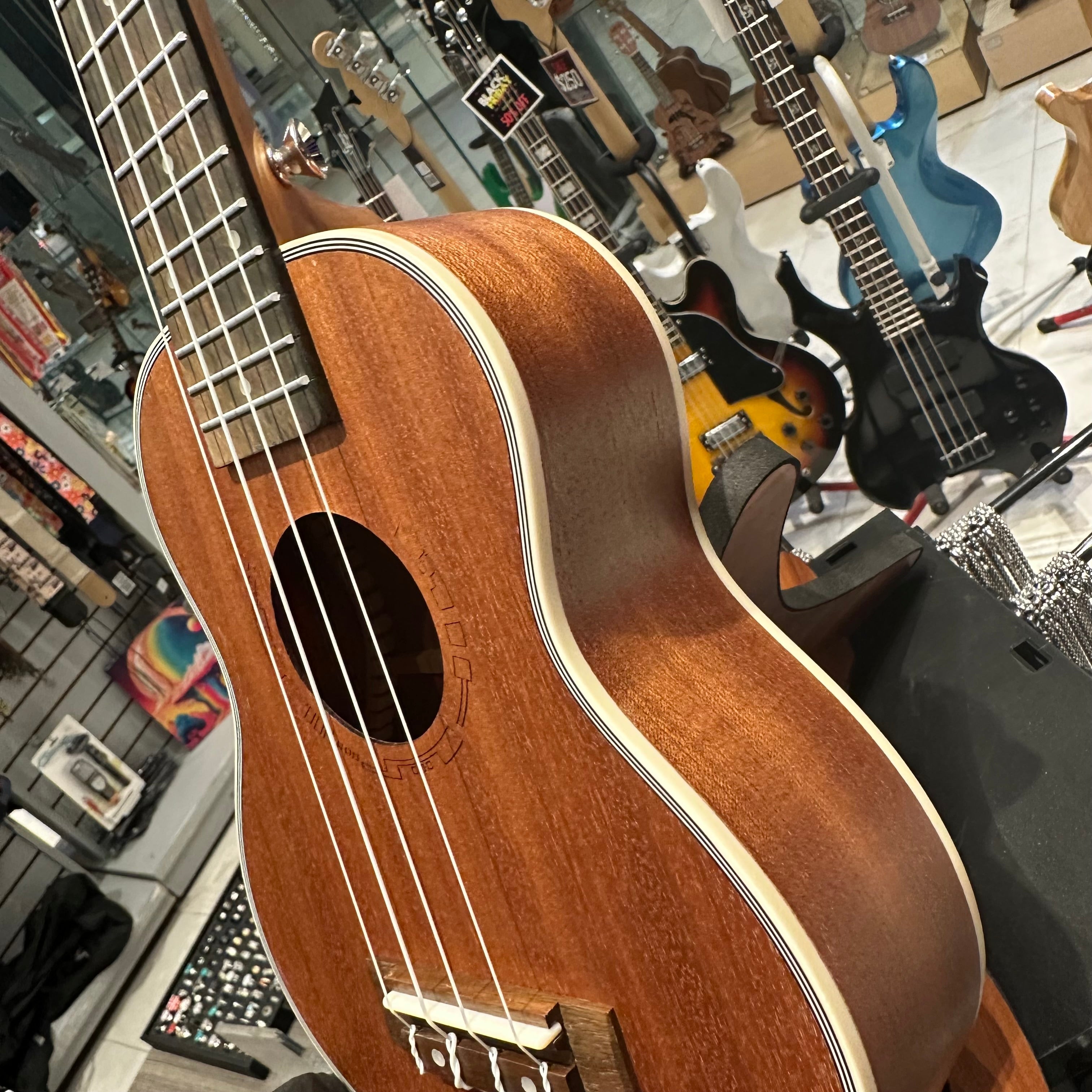 AKUA Rain: 21" Concert Ukulele - Sapele