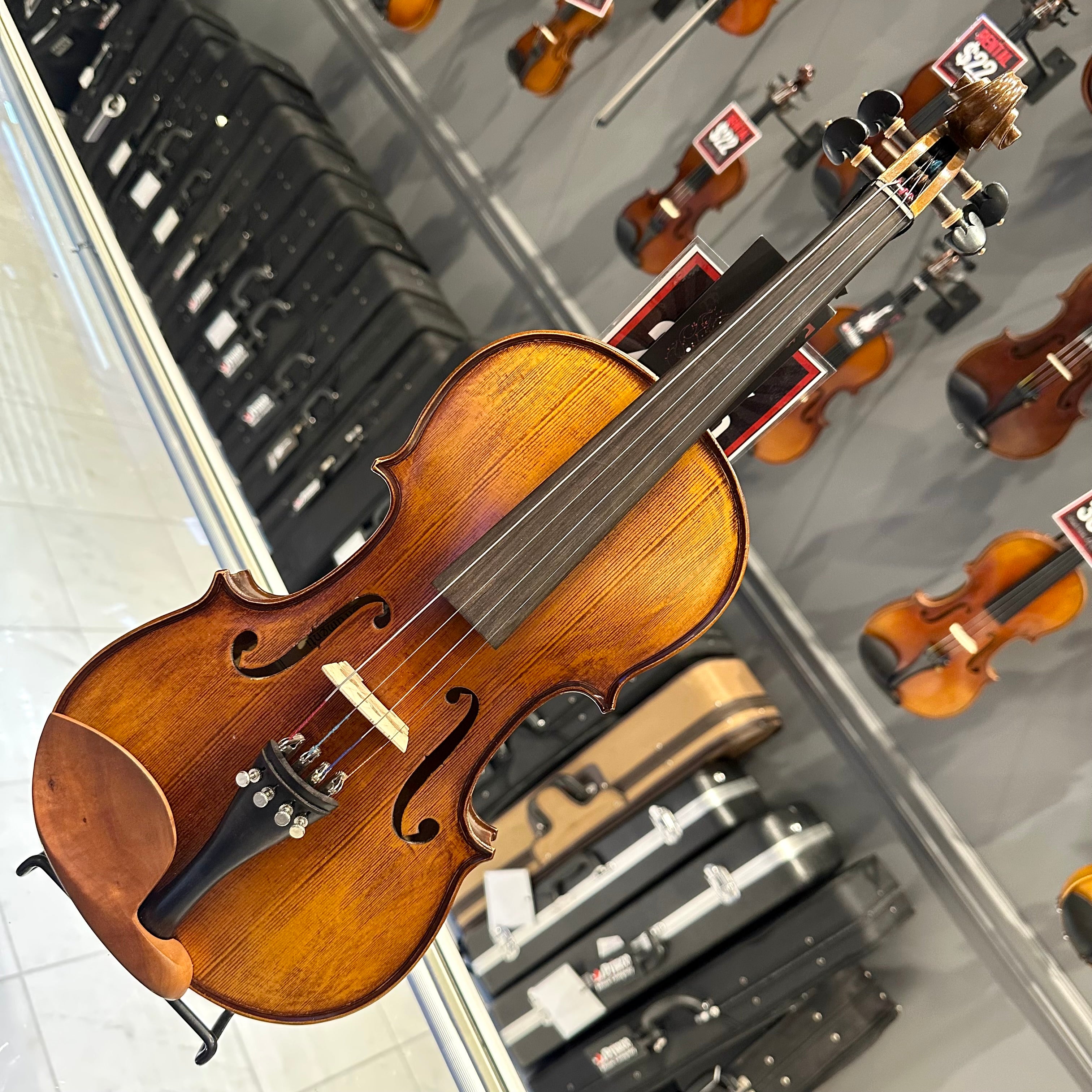 Strumenti a Corde 4100: Intermediate Violin
