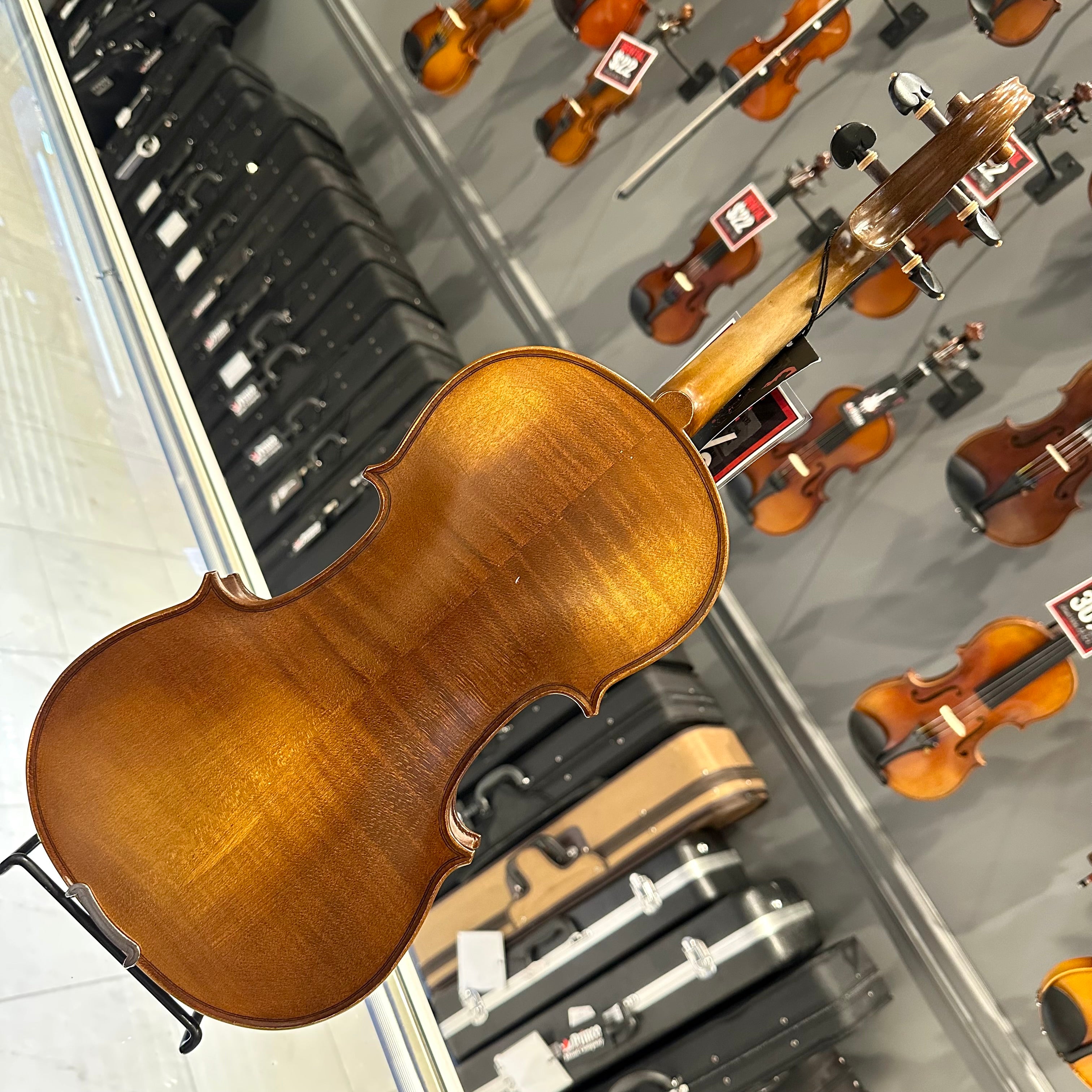Strumenti a Corde 4100: Intermediate Violin