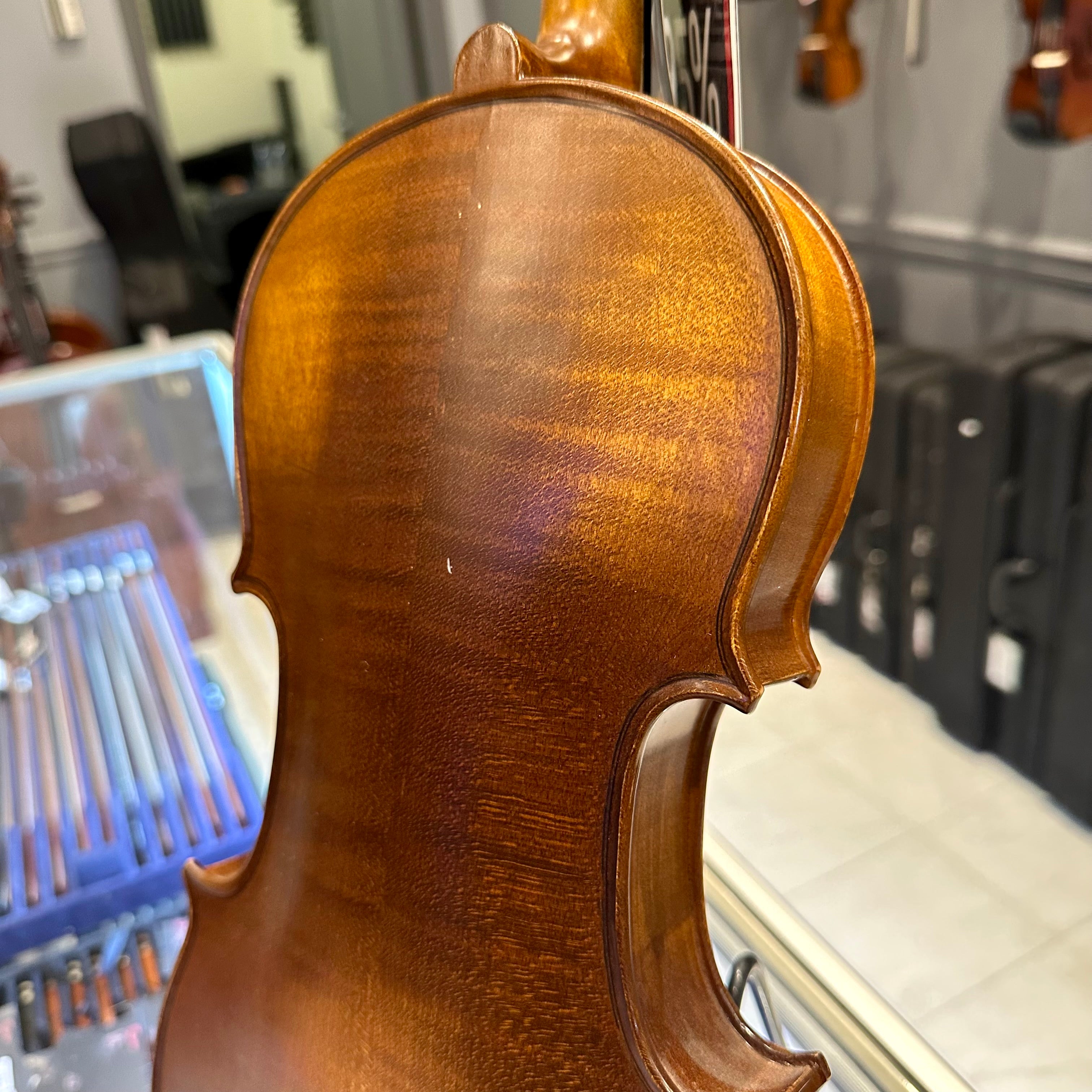 Strumenti a Corde 4100: Intermediate Violin