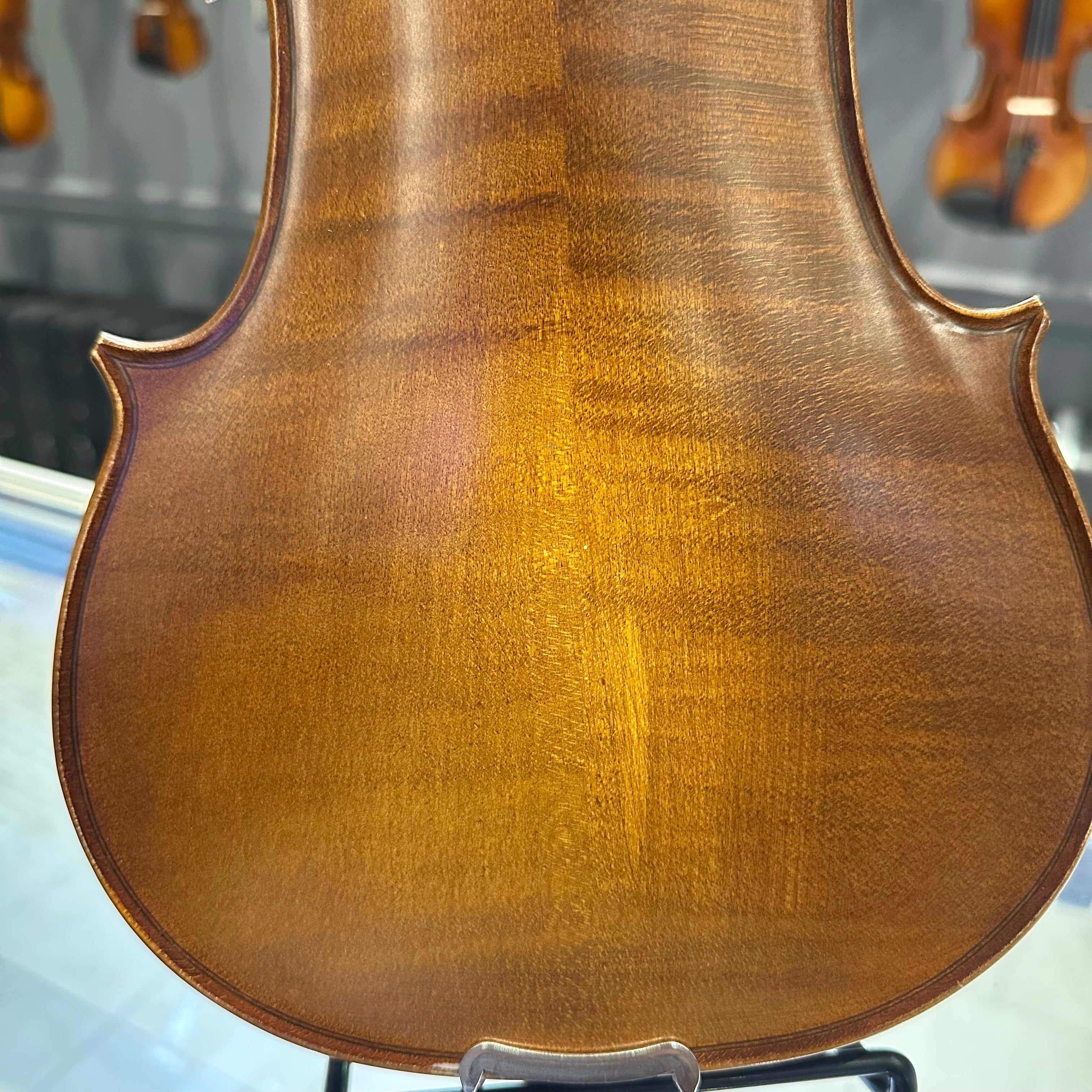 Strumenti a Corde 4100: Intermediate Violin