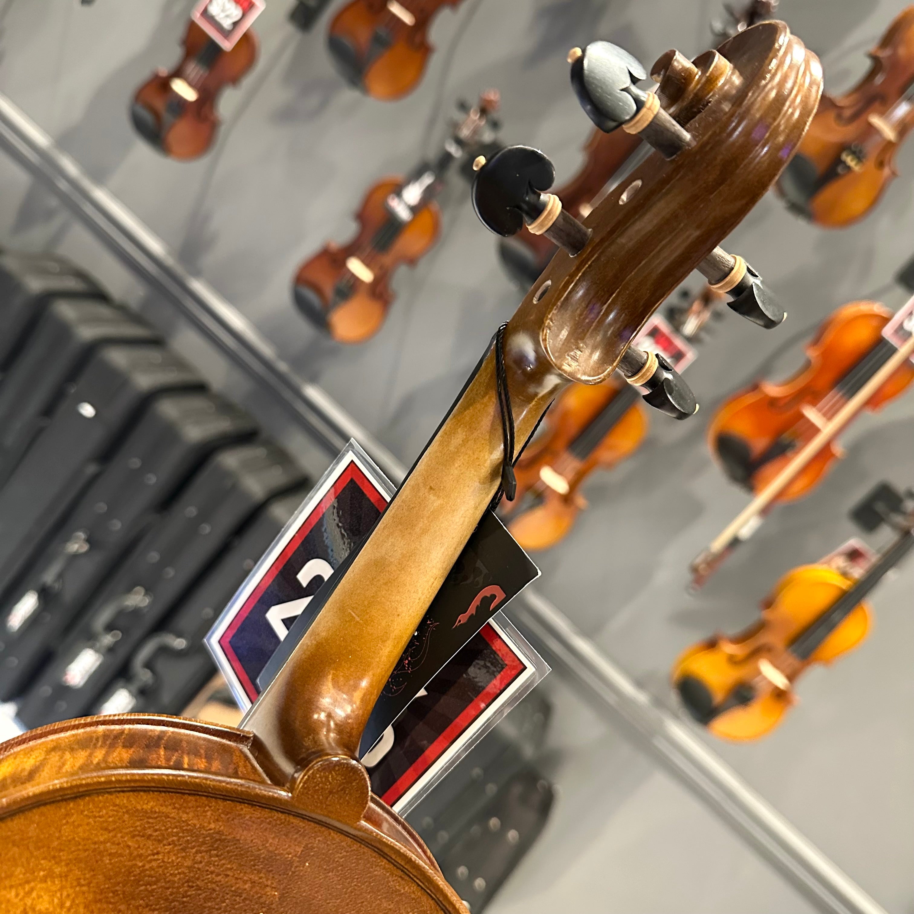 Strumenti a Corde 4100: Intermediate Violin