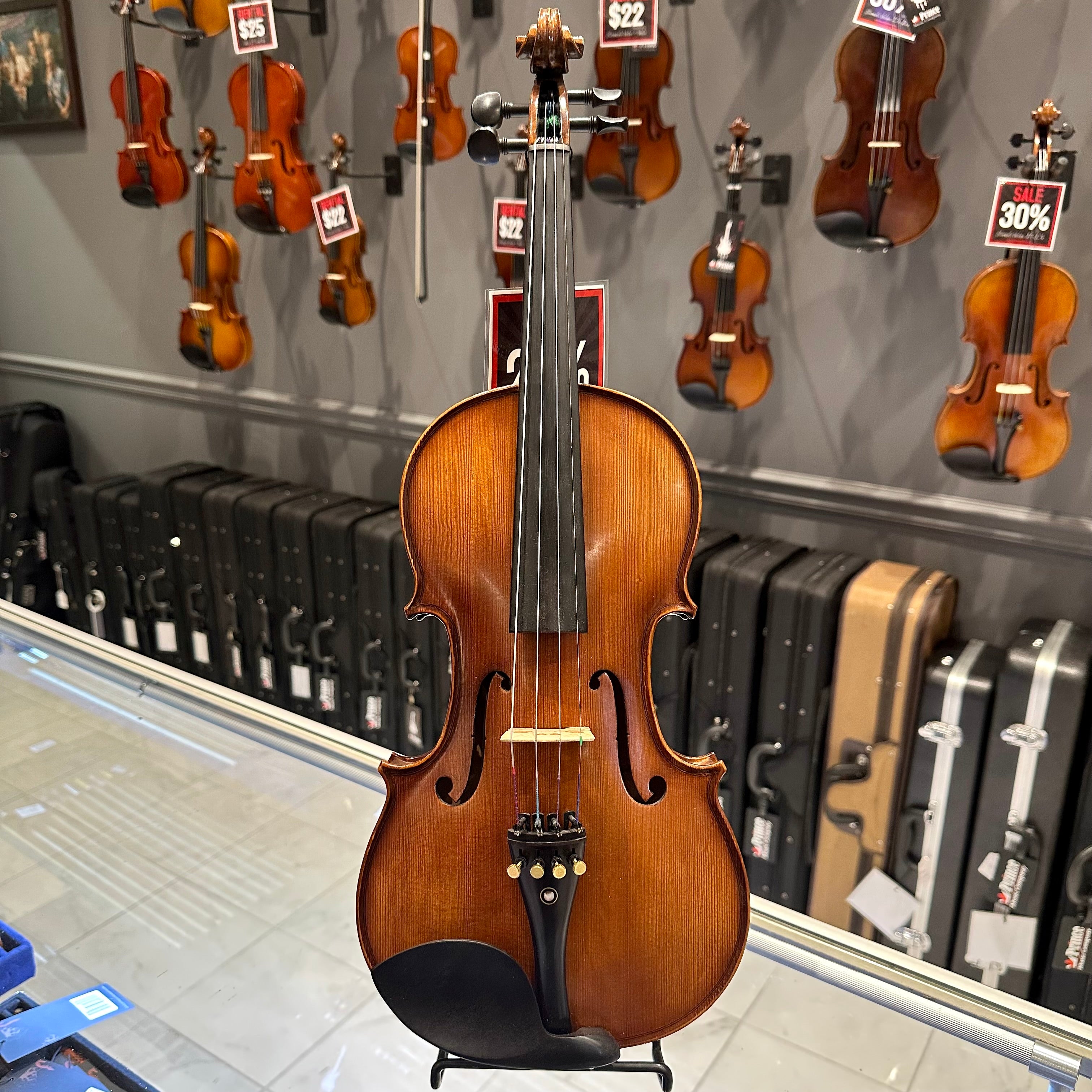 Strumenti a Corde 5000: Intermediate Viola, Glossy Flame - 14"