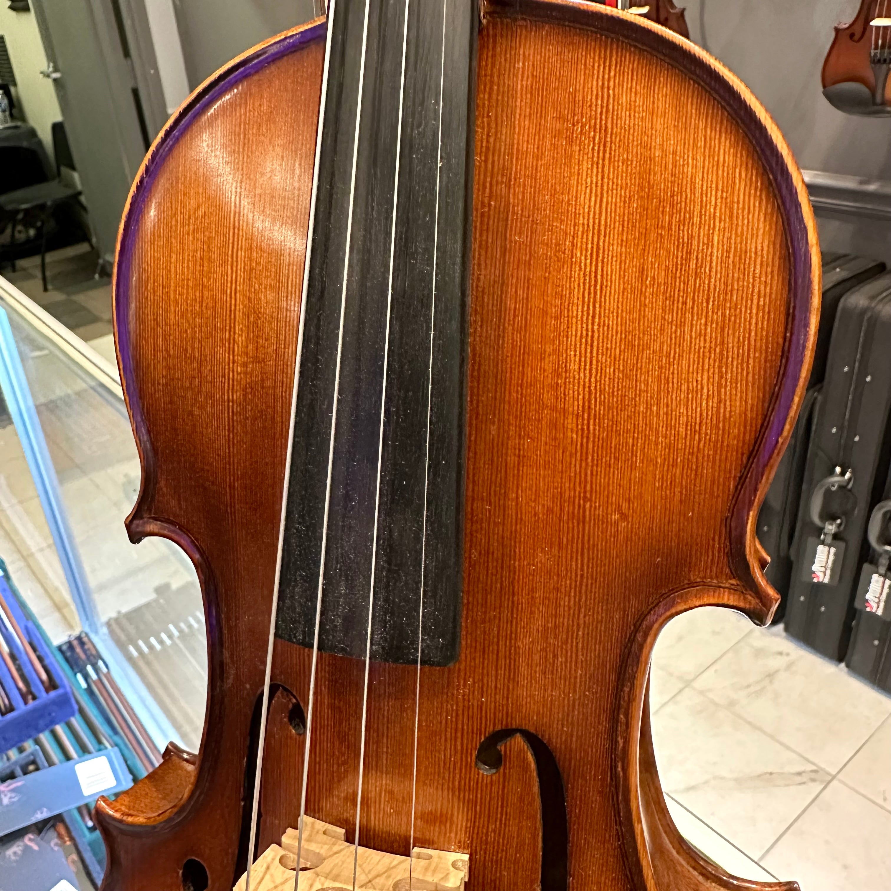 Strumenti a Corde 5000: Intermediate Viola, Glossy Flame - 14"