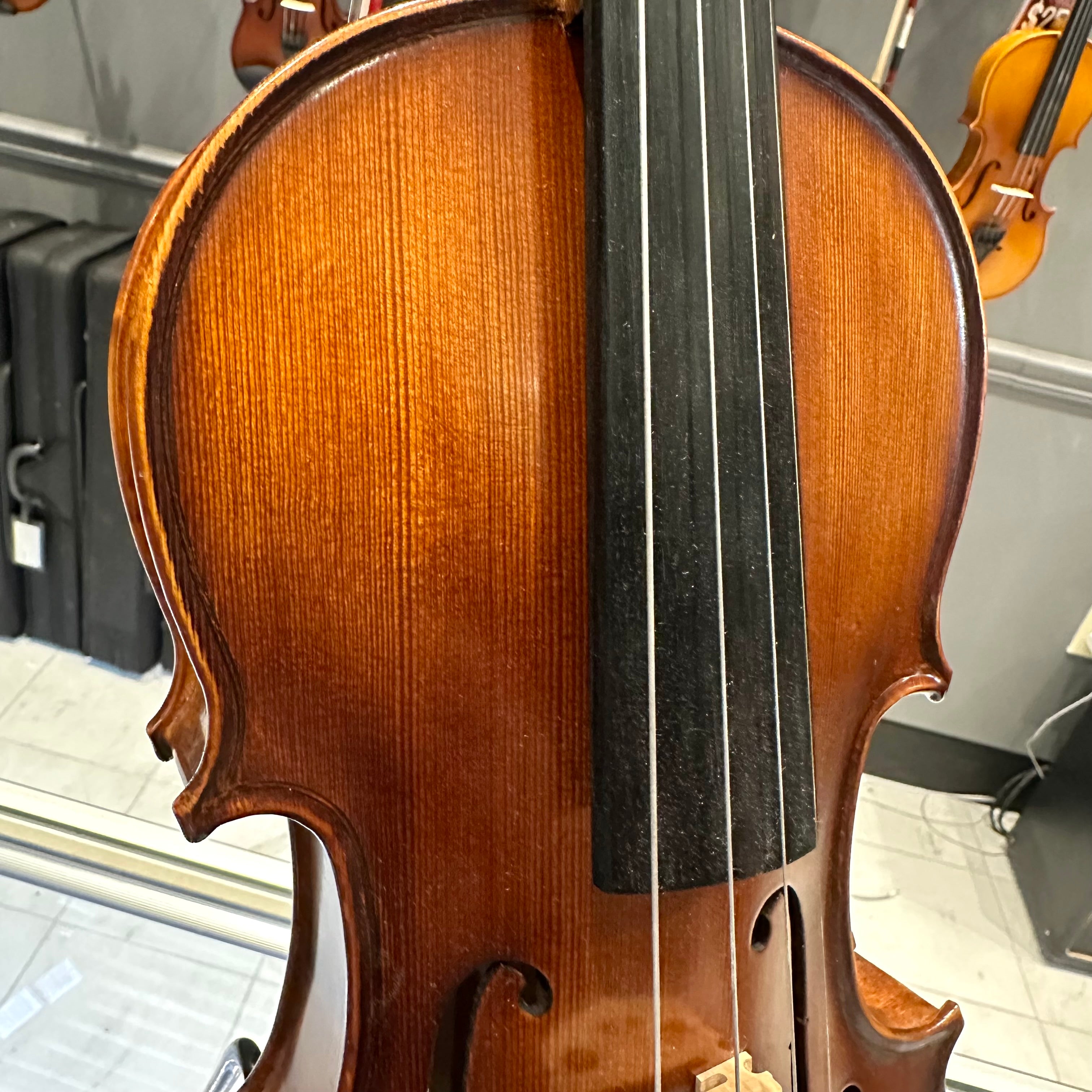 Strumenti a Corde 5000: Intermediate Viola, Glossy Flame - 14"