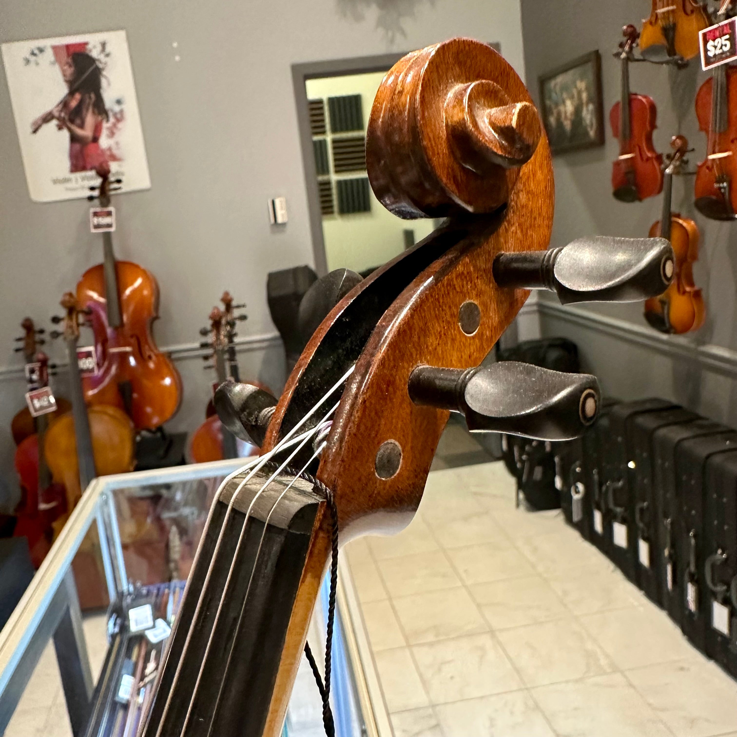 Strumenti a Corde 5000: Intermediate Viola, Glossy Flame - 14"