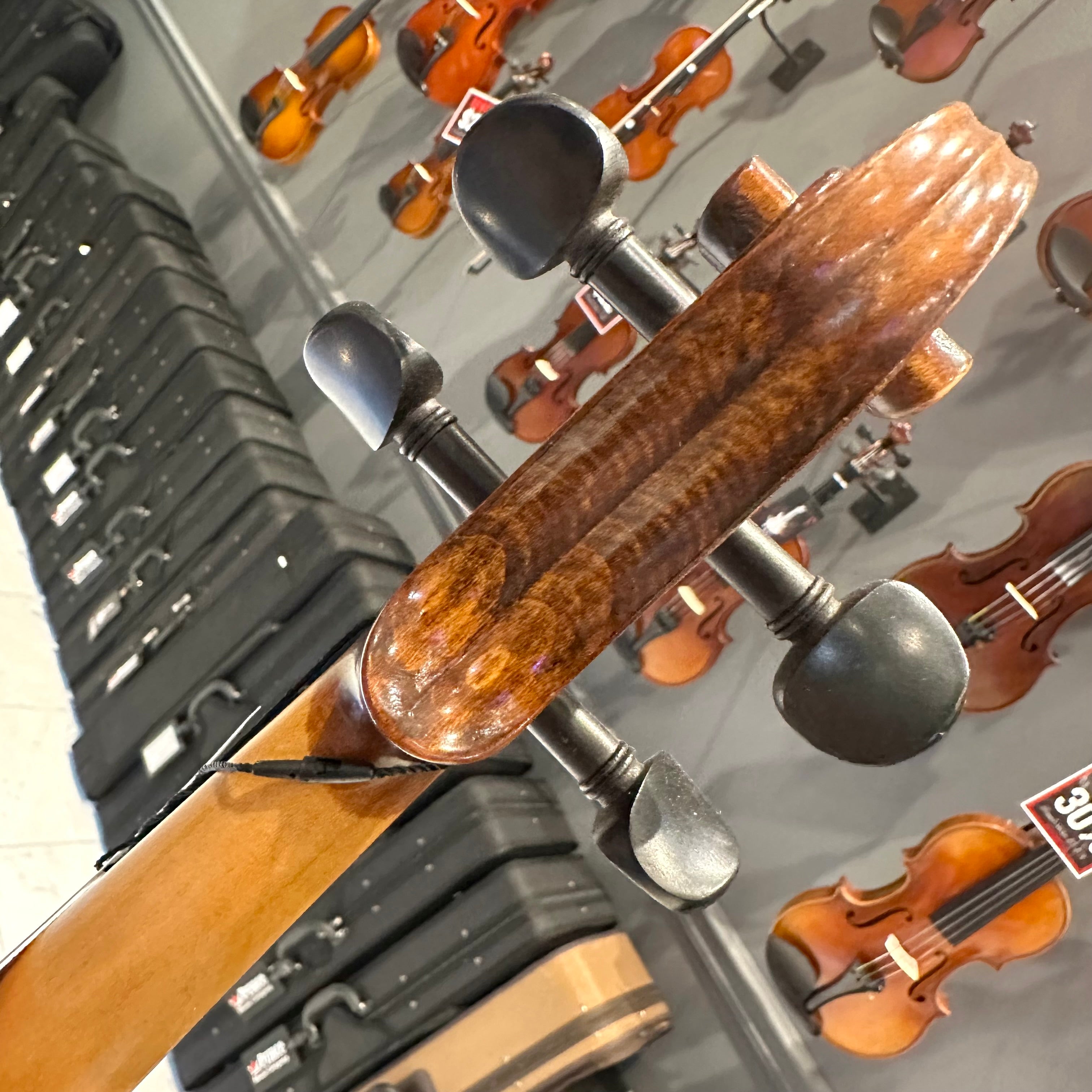 Strumenti a Corde 5000: Intermediate Viola, Glossy Flame - 14"