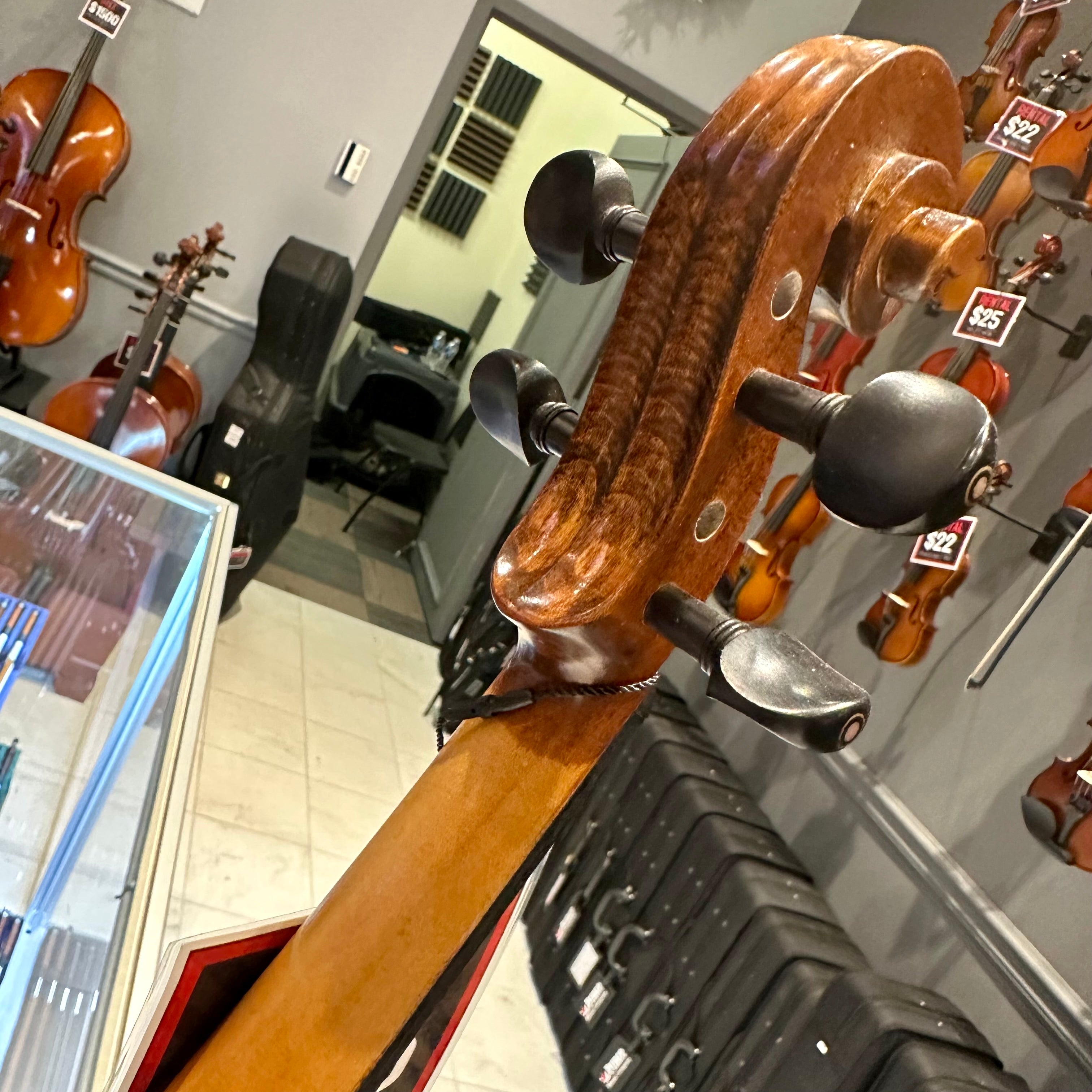 Strumenti a Corde 5000: Intermediate Viola, Glossy Flame - 14"