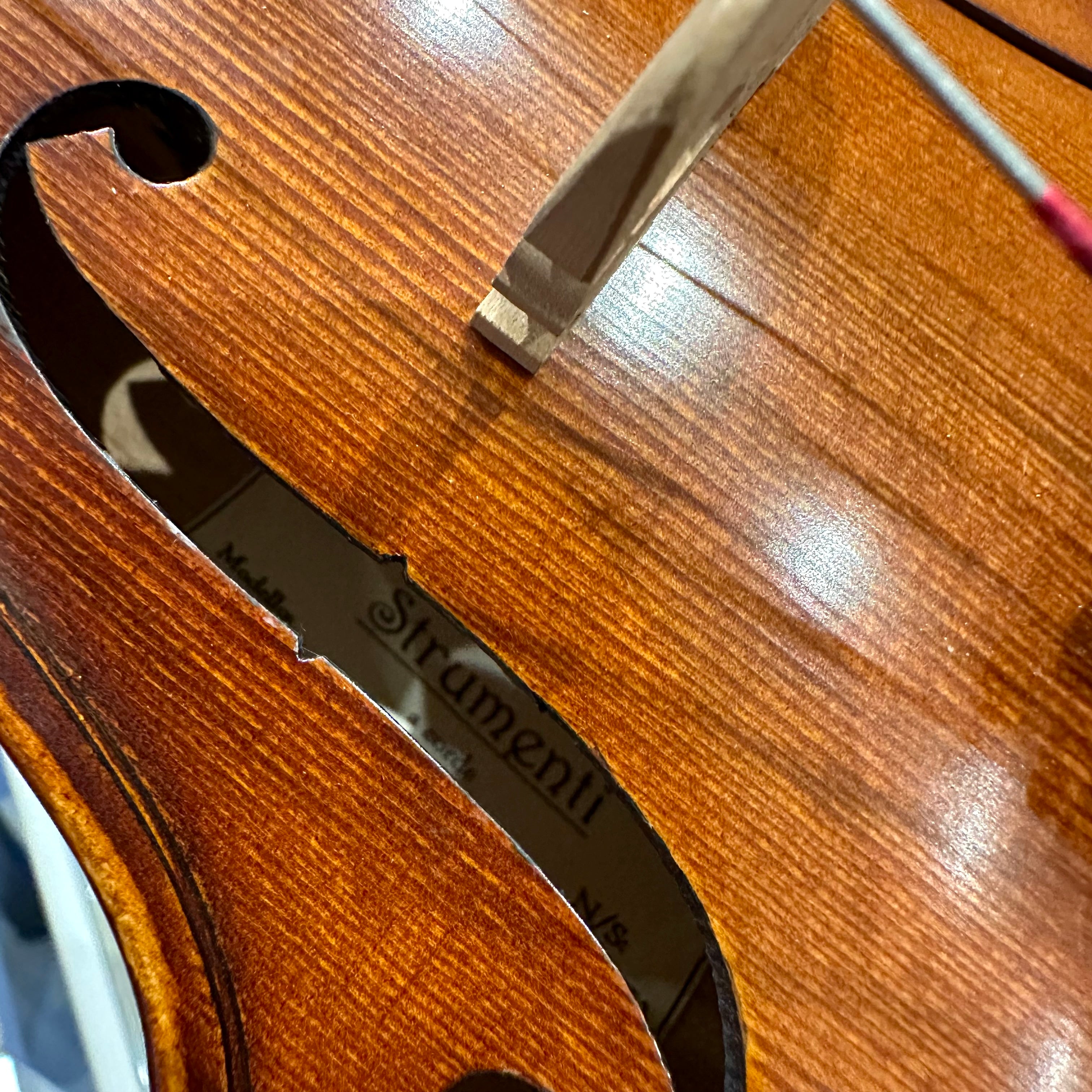 Strumenti a Corde 5000: Intermediate Viola, Glossy Flame - 14"