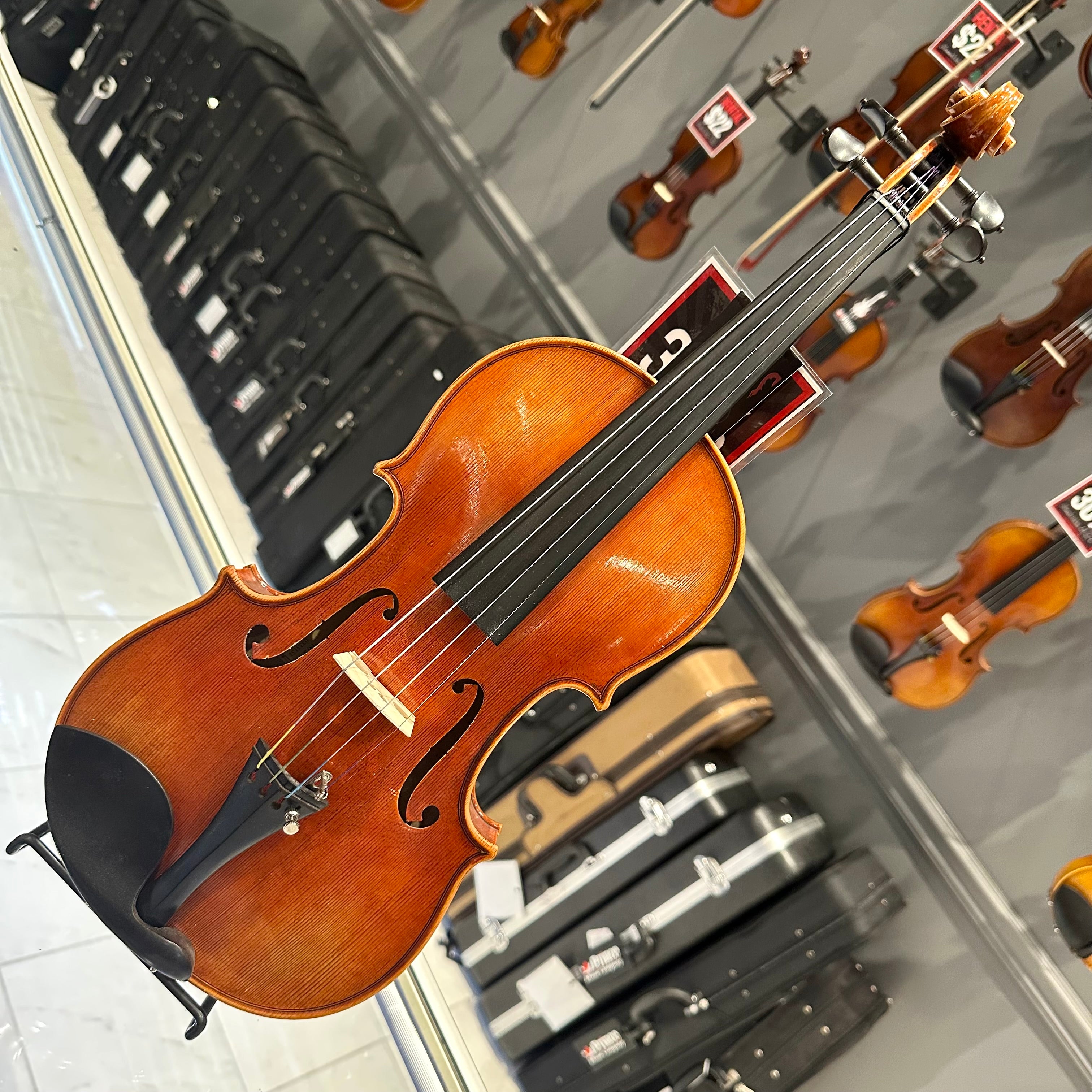 Strumenti a Corde 6100: Intermediate Violin