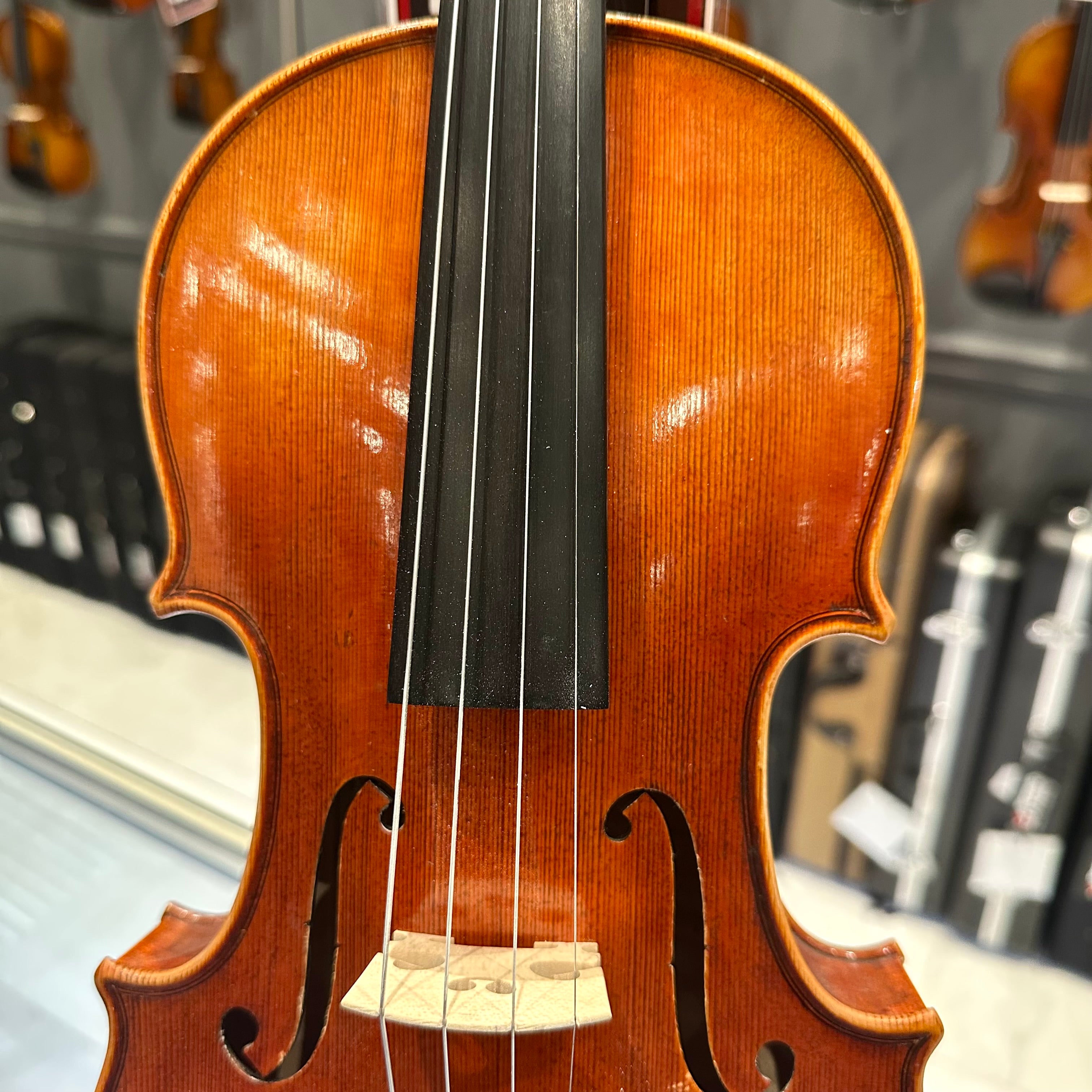Strumenti a Corde 6100: Intermediate Violin