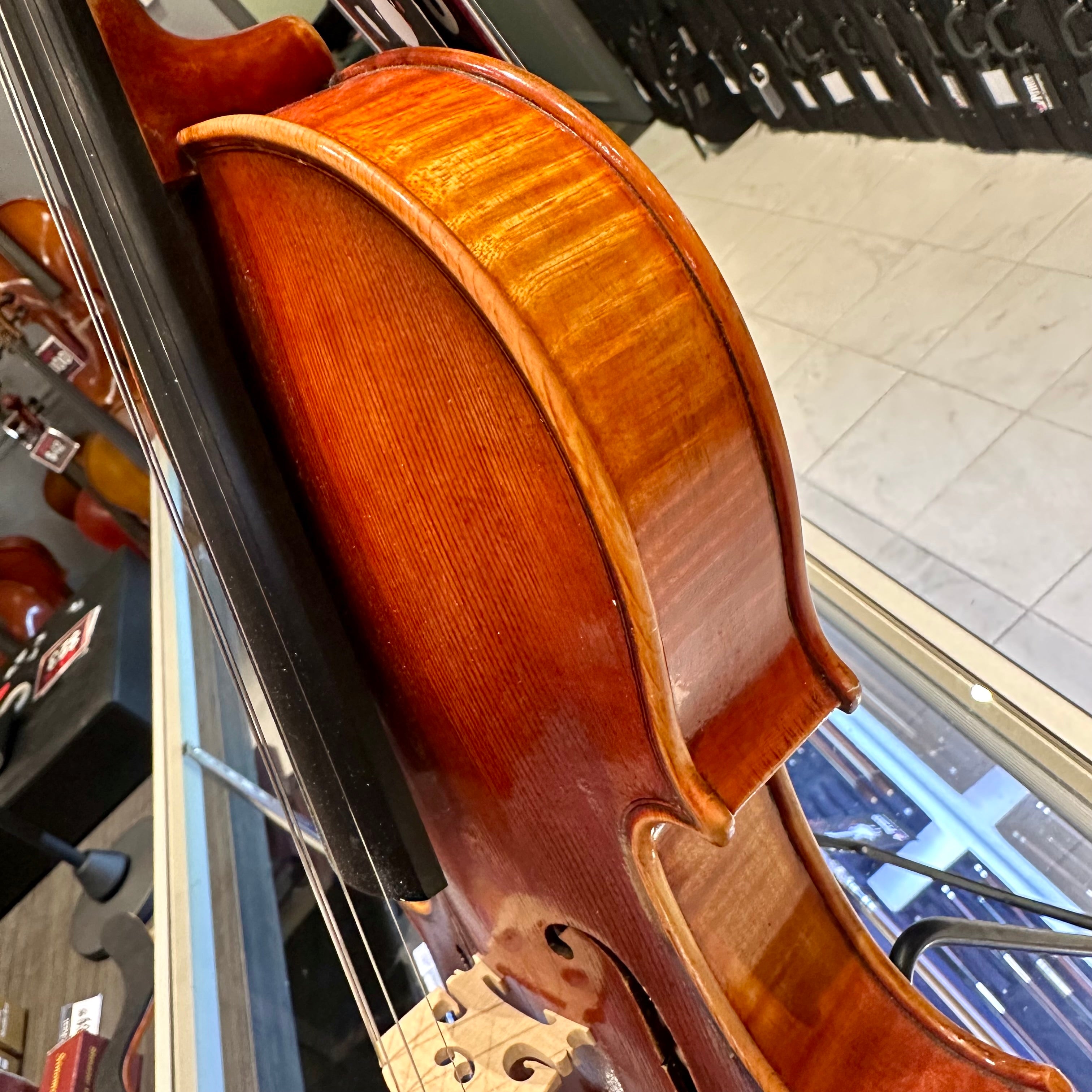 Strumenti a Corde 6100: Intermediate Violin
