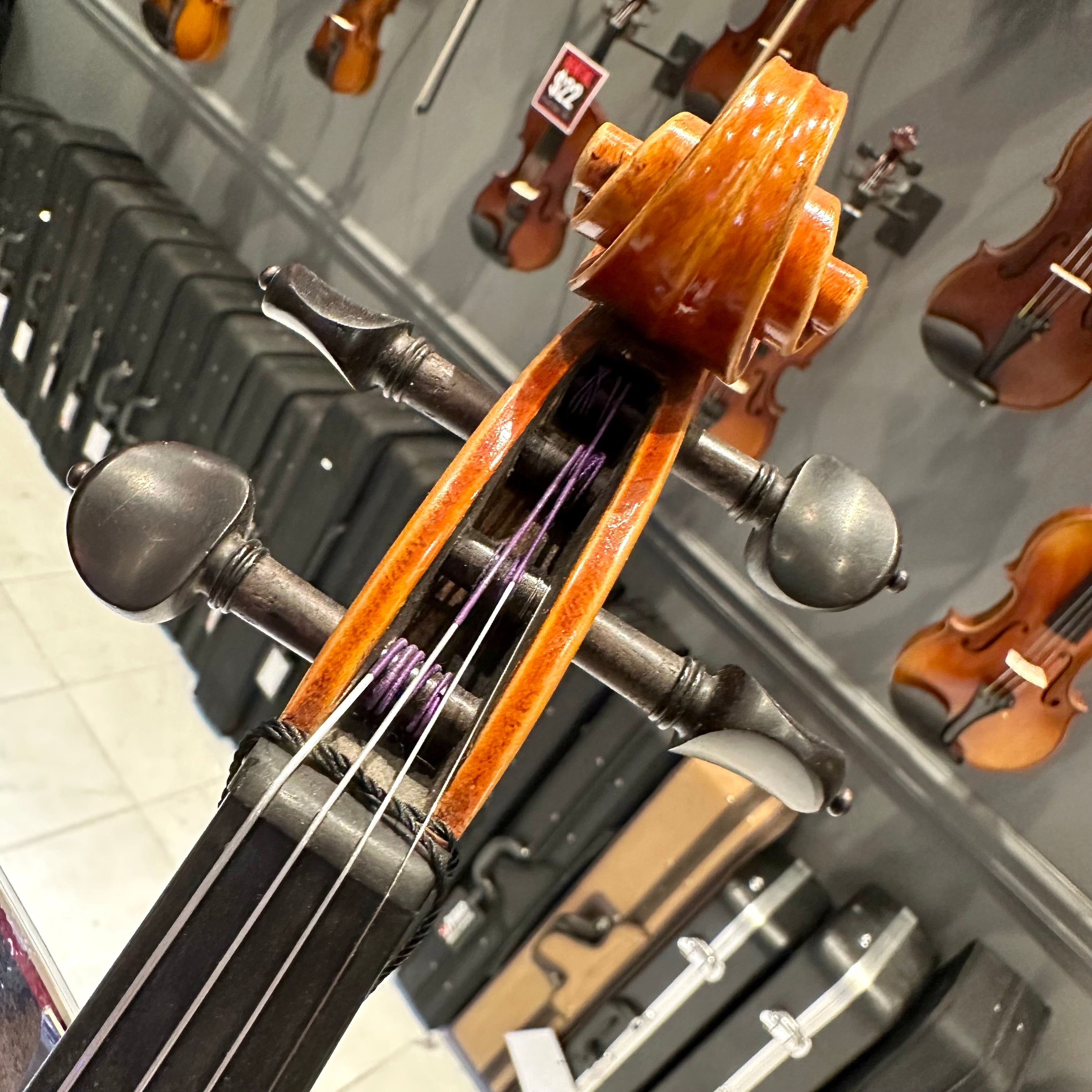 Strumenti a Corde 6100: Intermediate Violin