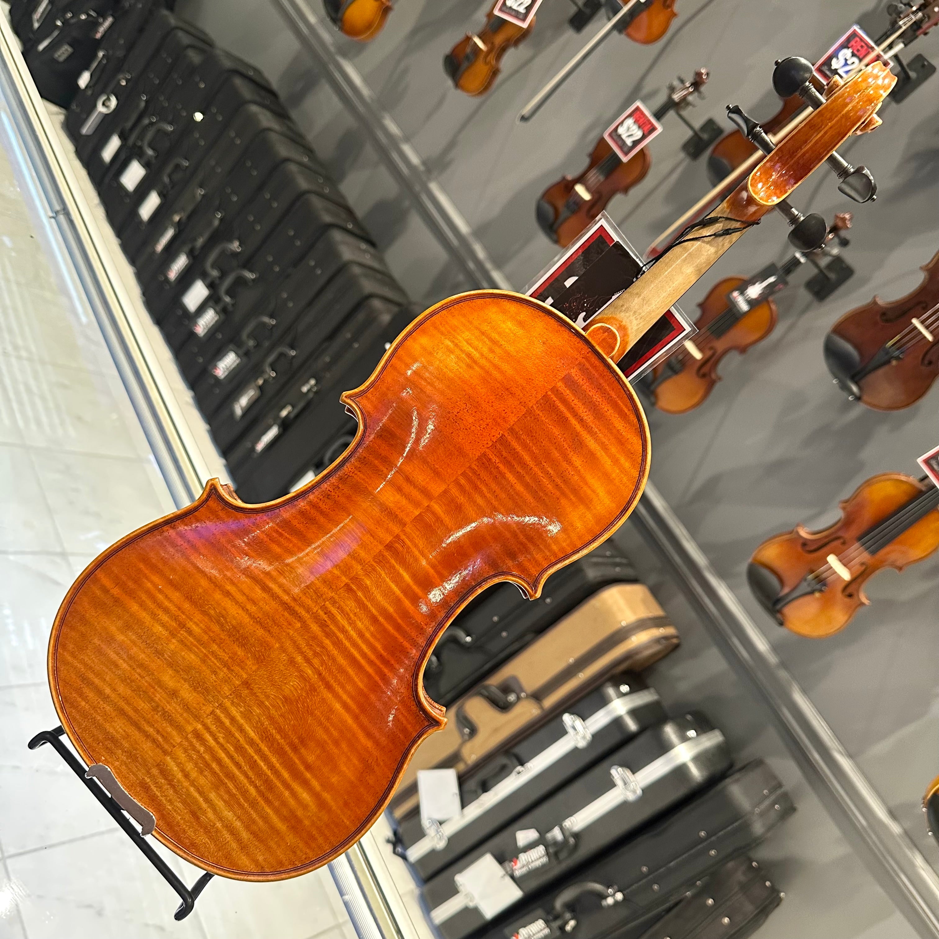 Strumenti a Corde 6100: Intermediate Violin
