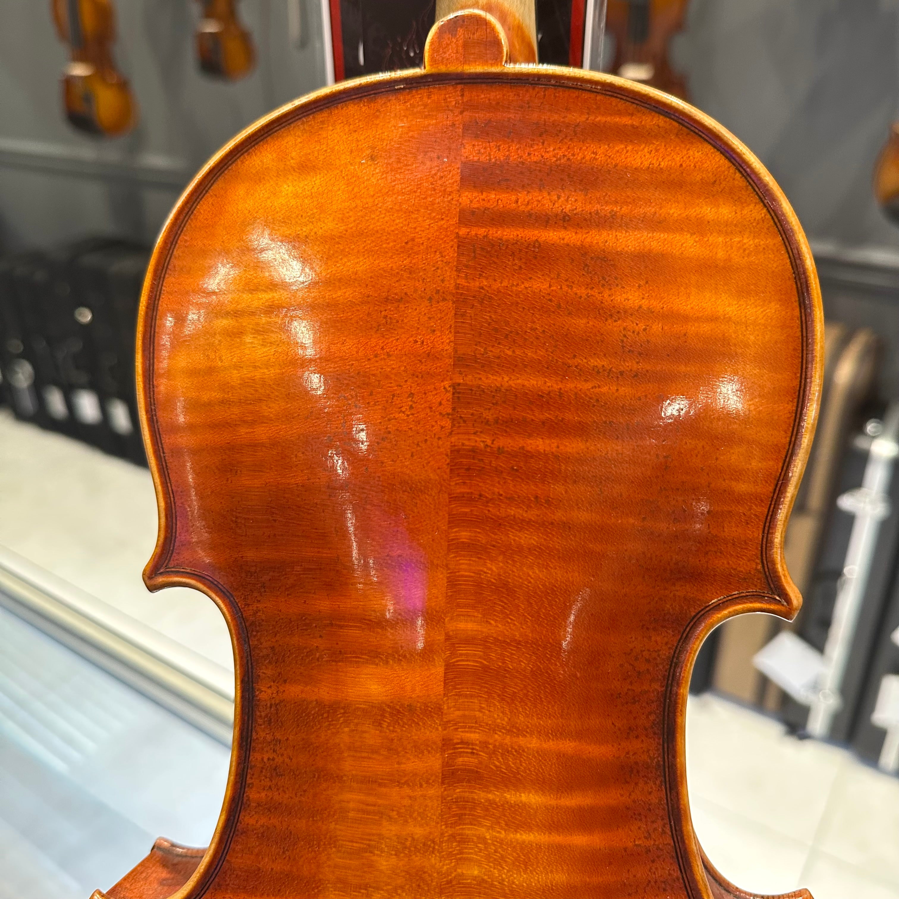Strumenti a Corde 6100: Intermediate Violin