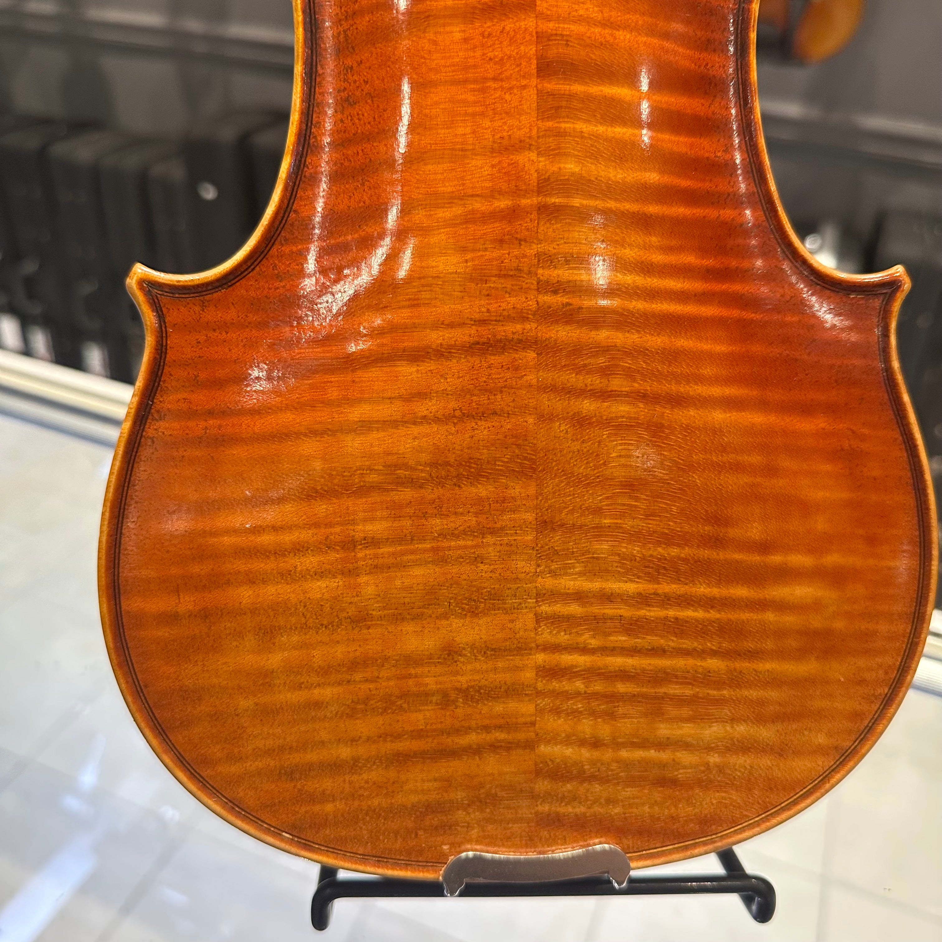 Strumenti a Corde 6100: Intermediate Violin