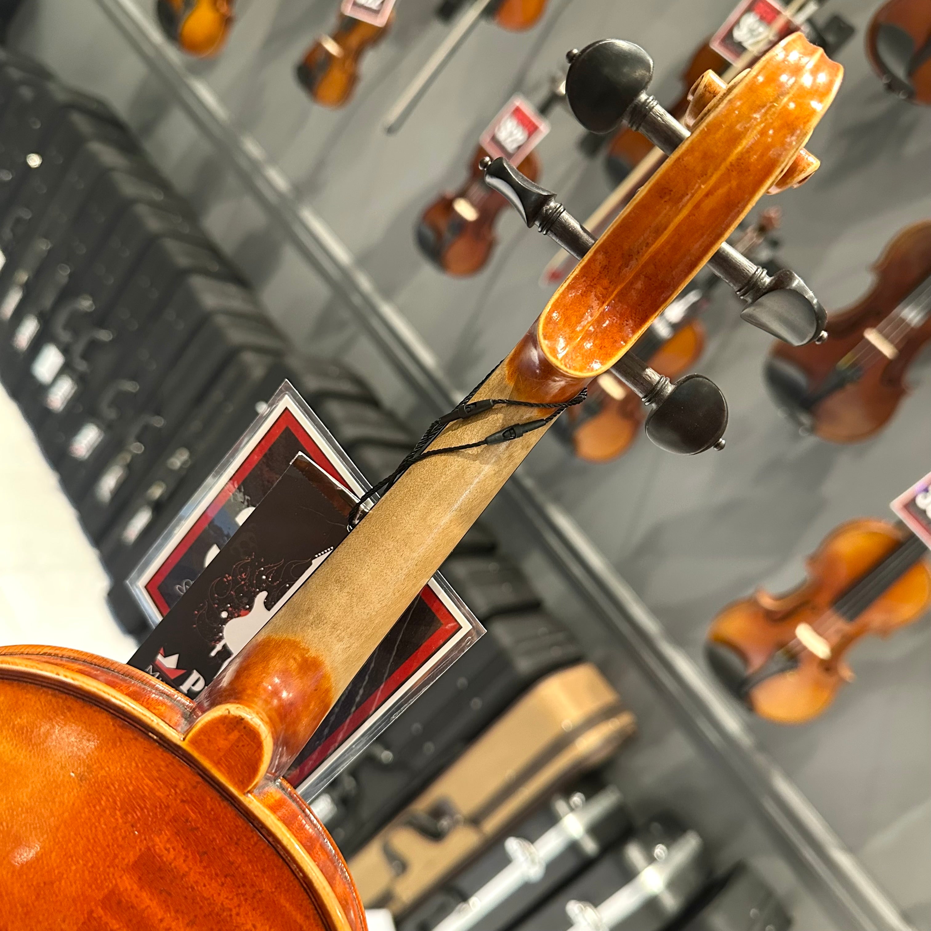 Strumenti a Corde 6100: Intermediate Violin