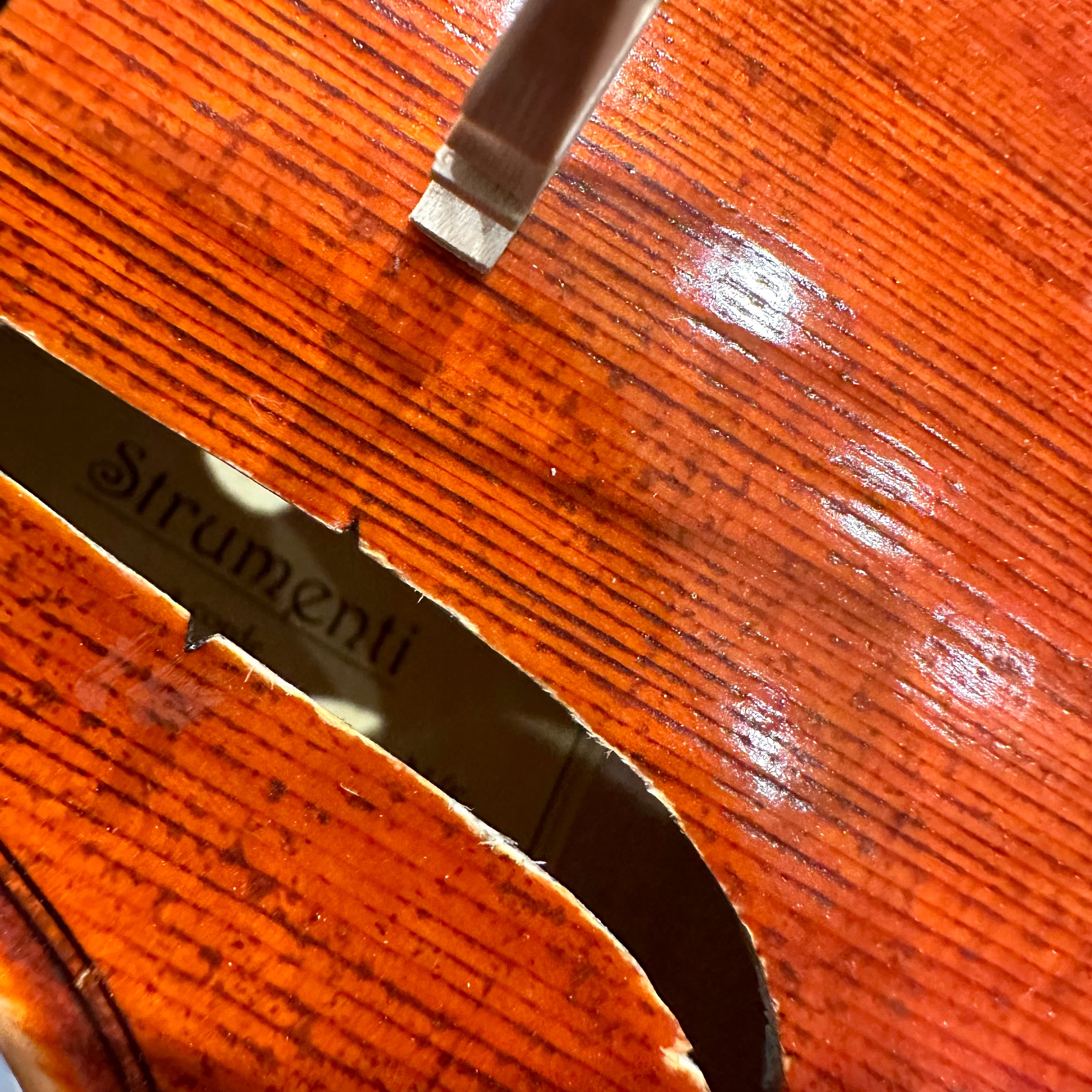 Strumenti a Corde 6100: Intermediate Violin
