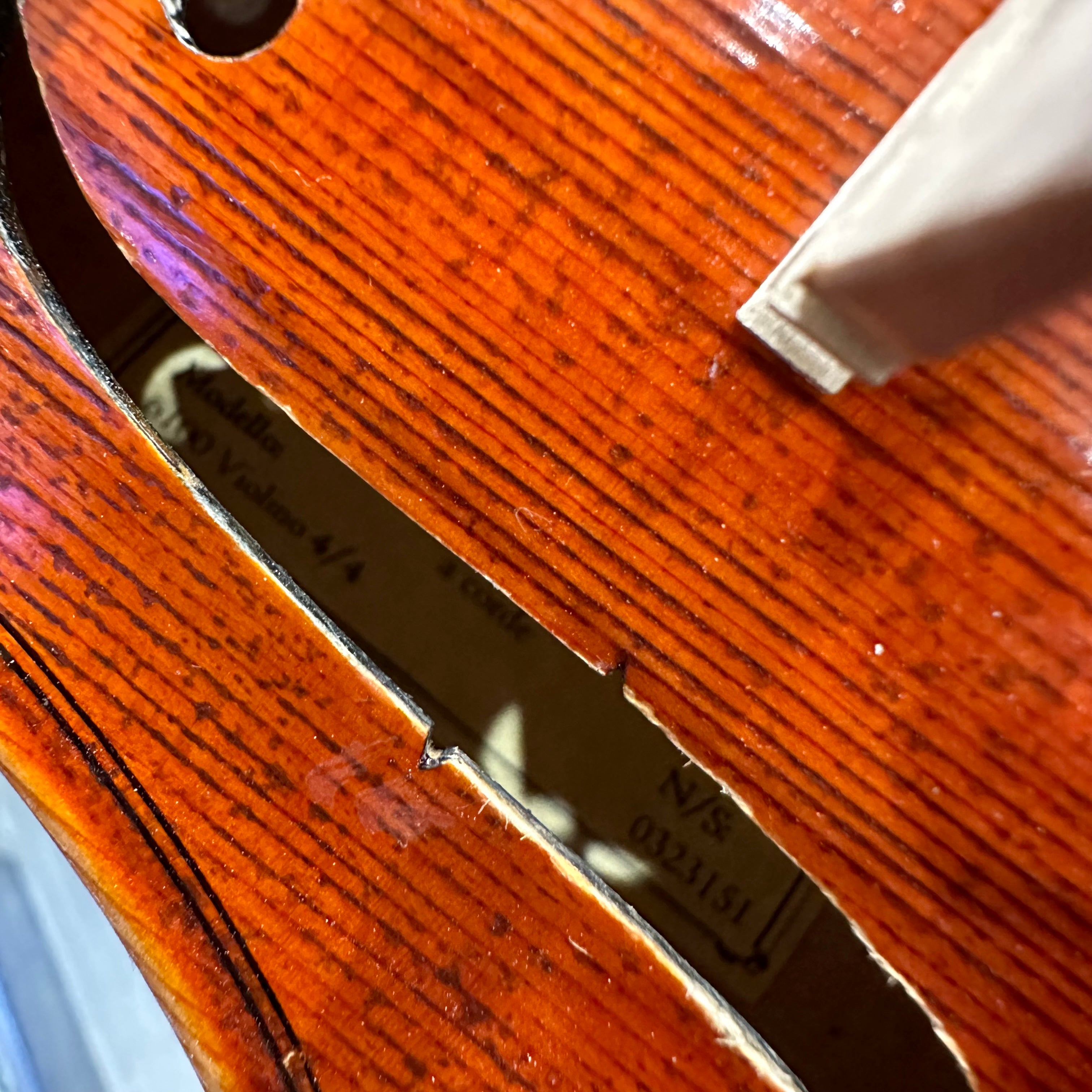 Strumenti a Corde 6100: Intermediate Violin