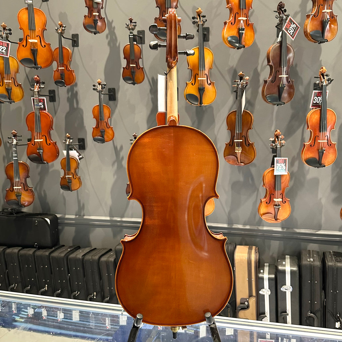 Samuel Eastman: VC100, 1/8 Cello - anno 2017