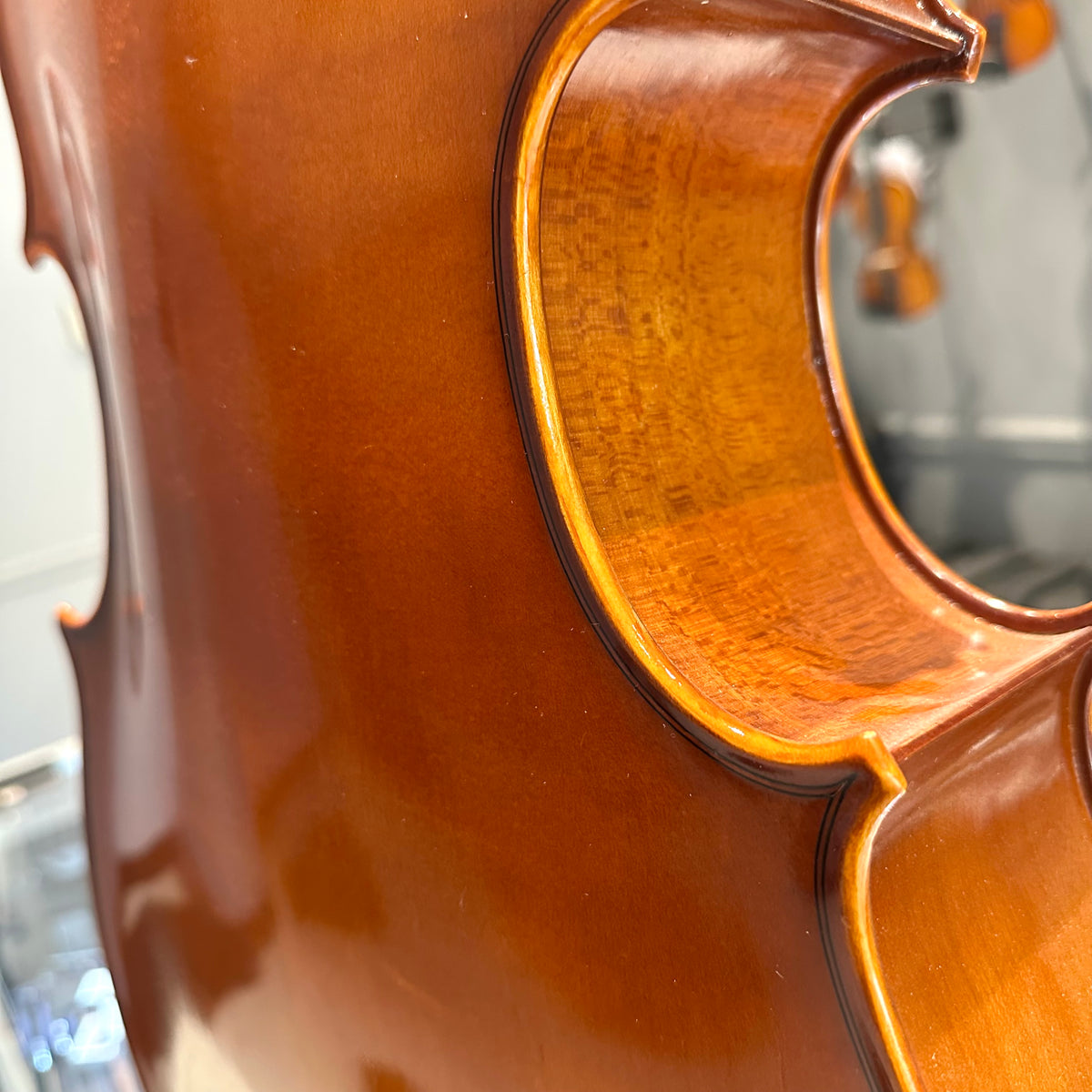 Samuel Eastman: VC100, 1/8 Cello - anno 2017