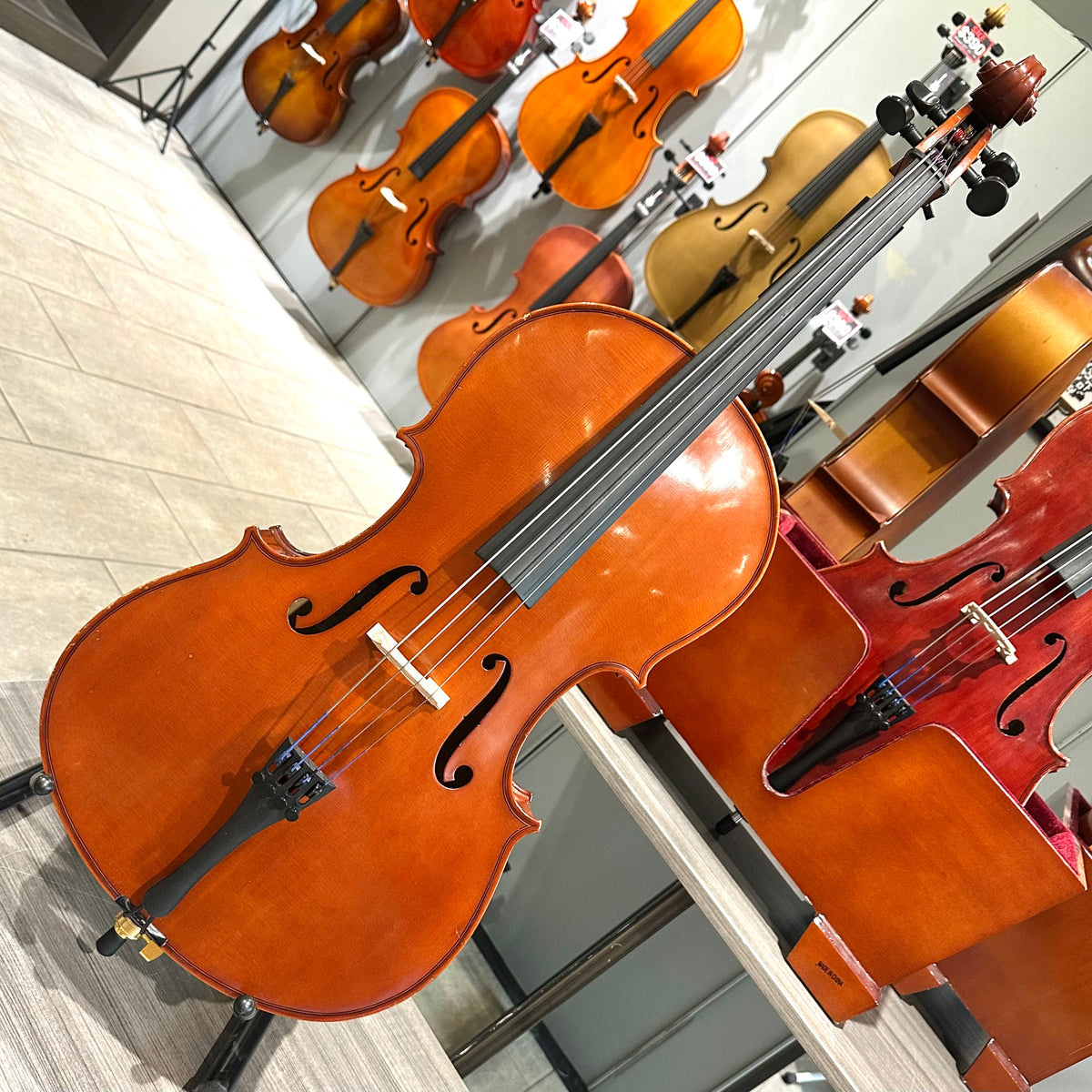 Segue Concertino: From Quinn Violins, Solid Wood - 1/4 Size