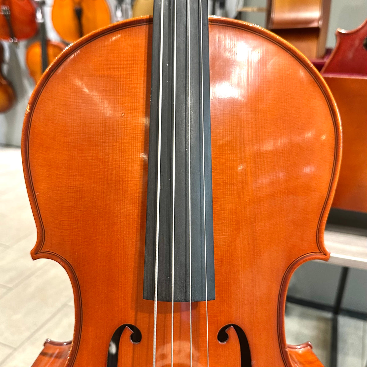 Segue Concertino: From Quinn Violins, Solid Wood - 1/4 Size