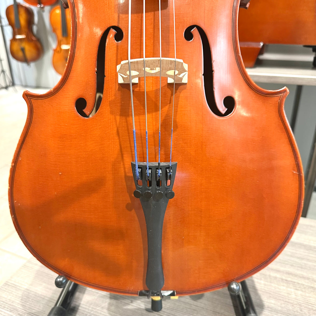 Segue Concertino: From Quinn Violins, Solid Wood - 1/4 Size