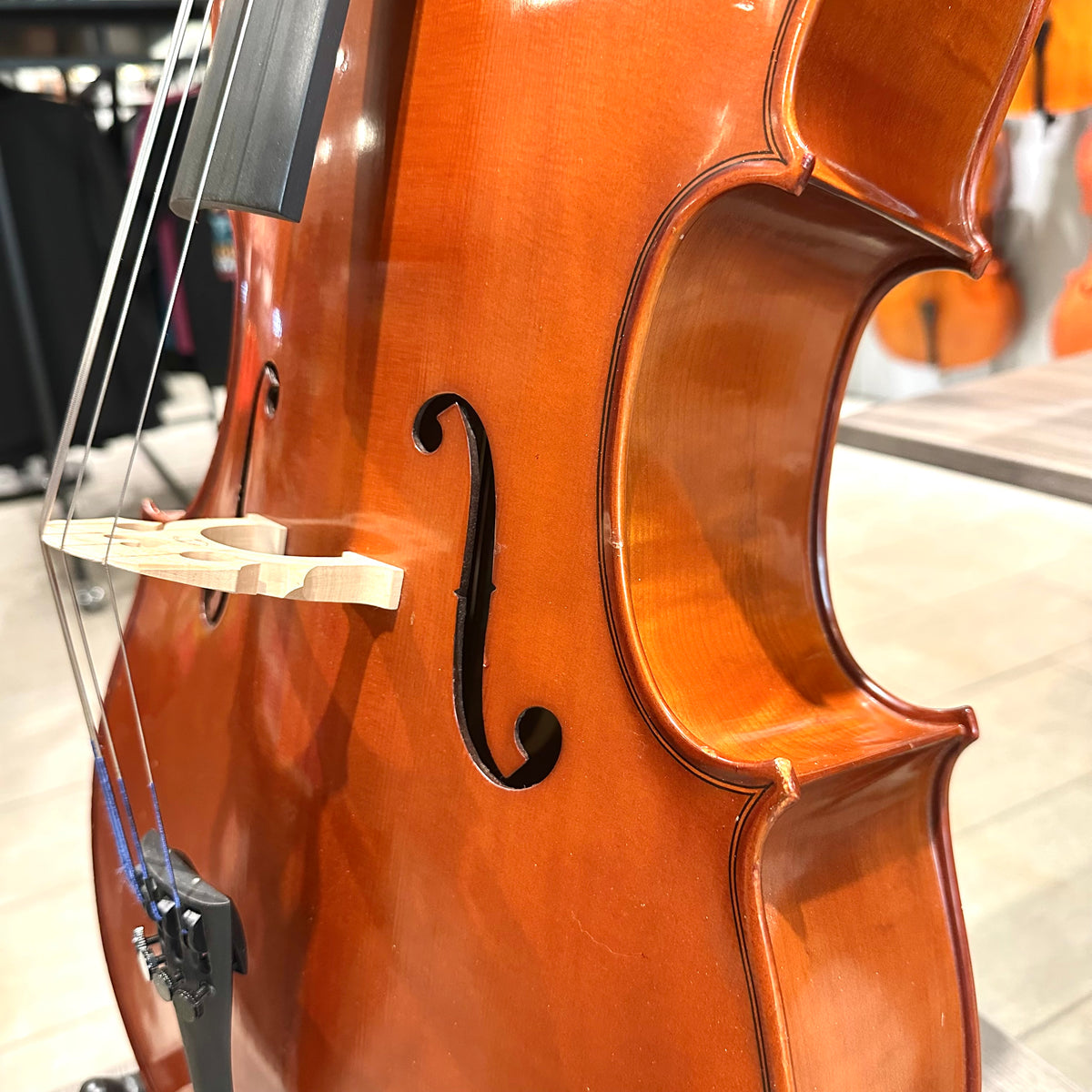 Segue Concertino: From Quinn Violins, Solid Wood - 1/4 Size