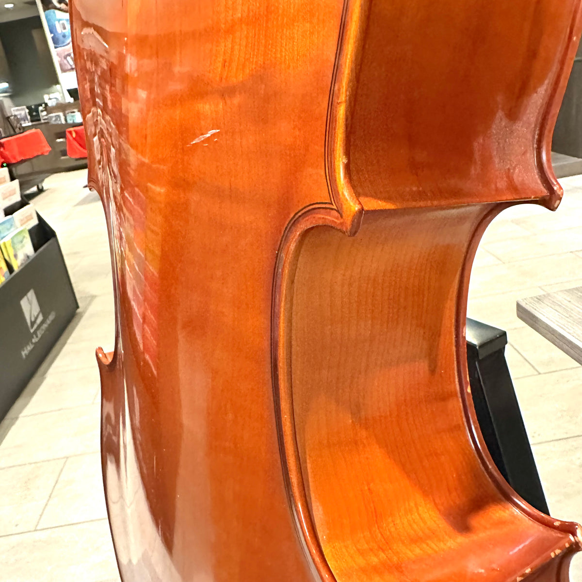 Segue Concertino: From Quinn Violins, Solid Wood - 1/4 Size