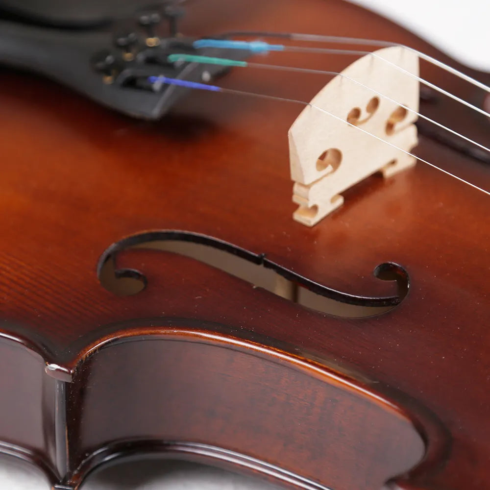 Strumenti a corde: 2500 - Student Violin, Hand Carved, Dark Matte