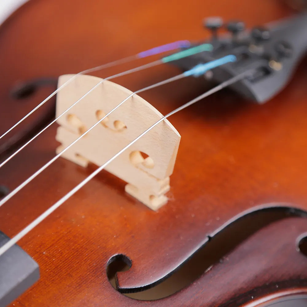 Strumenti a corde: 2500 - Student Violin, Hand Carved, Dark Matte
