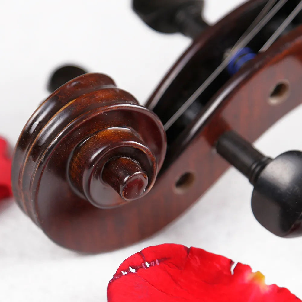 Strumenti a corde: 2500 - Student Violin, Hand Carved, Dark Matte
