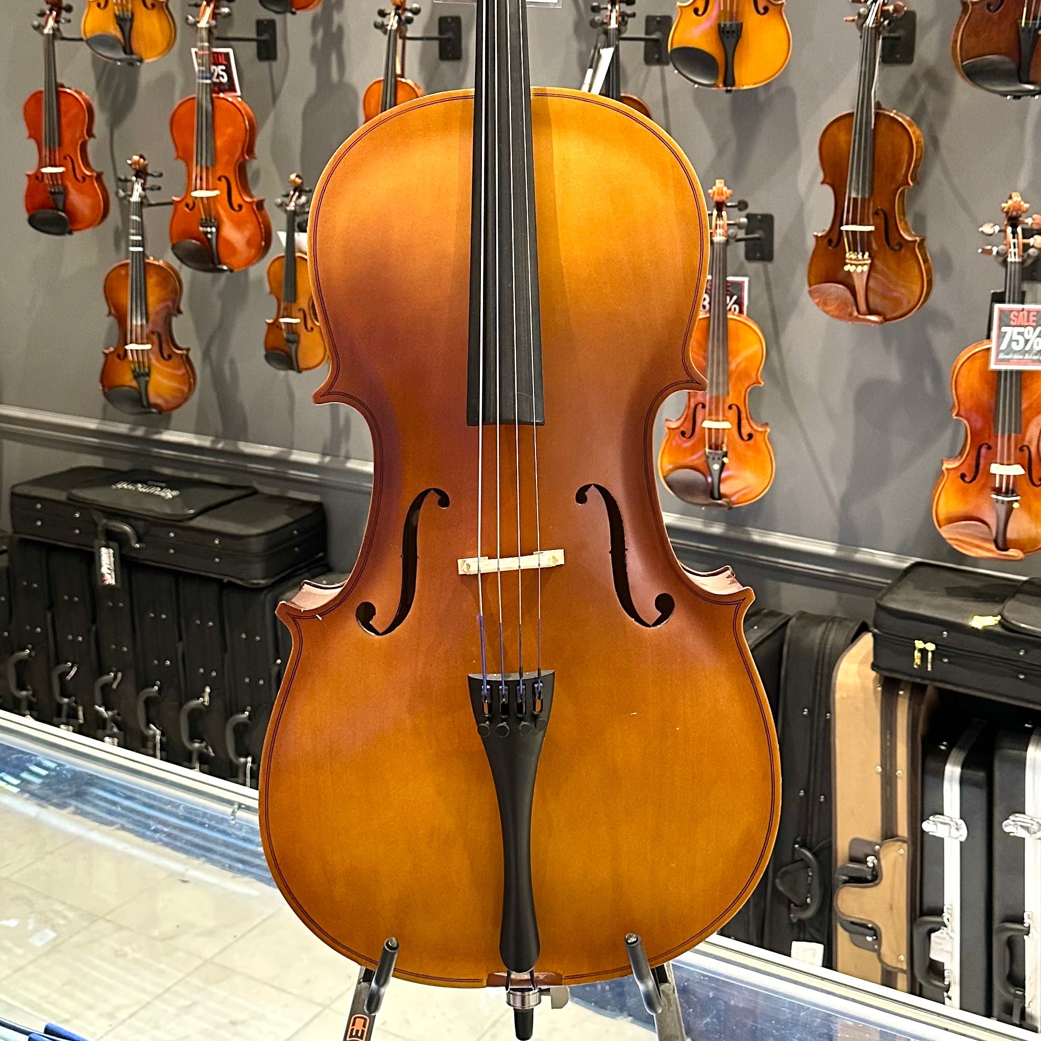 Student Cello