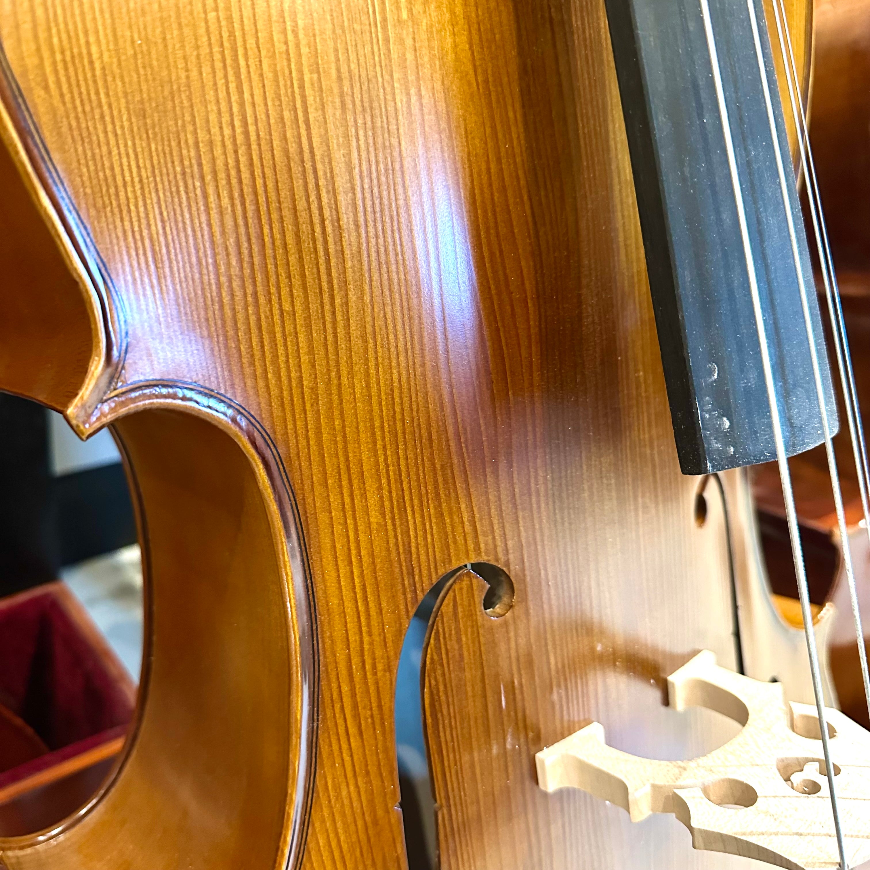 Strumenti a Corde 205-10: Student Cello, Solid, Matte, 4/4