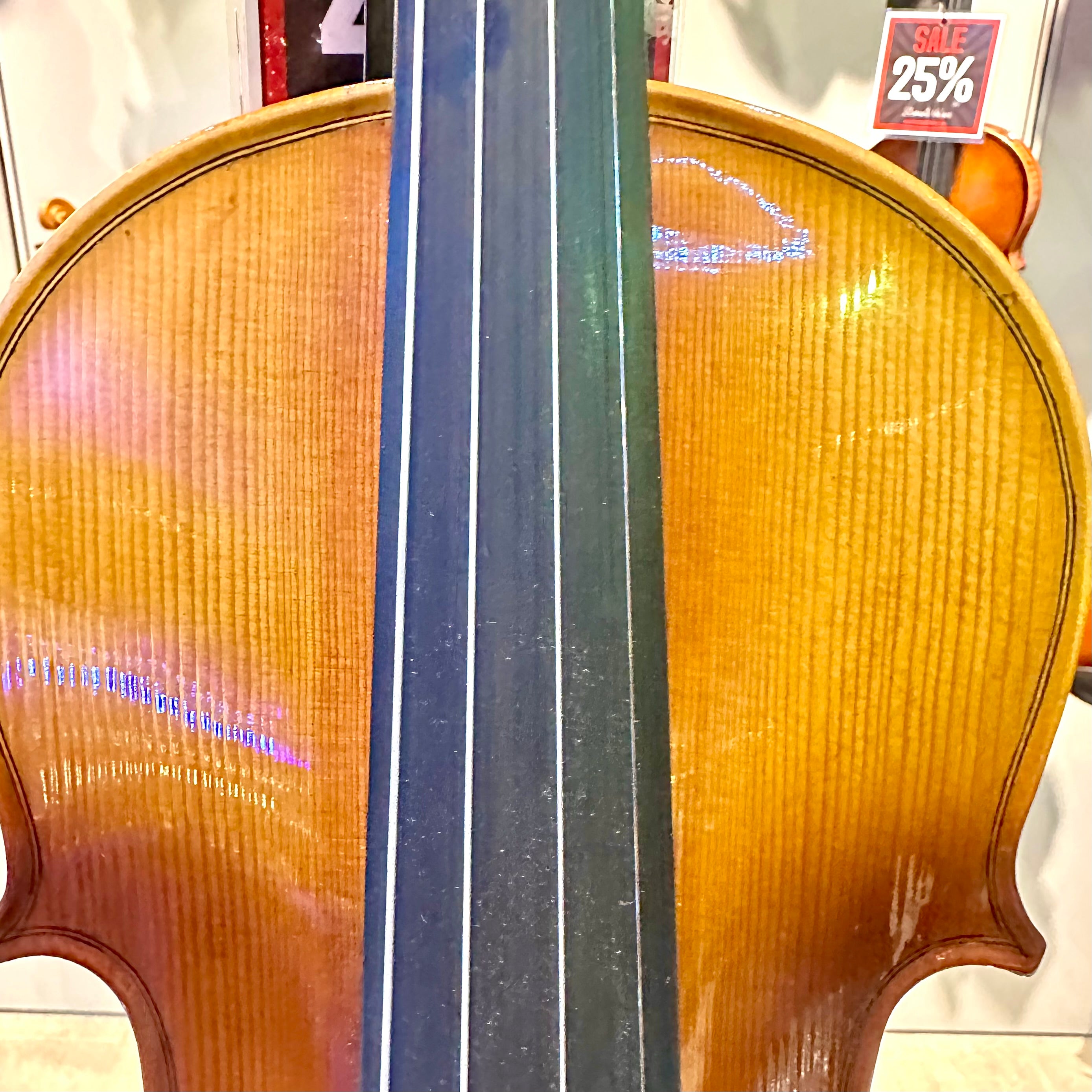 Strumenti a Corde 4500: Student Violin, Style B - 4/4