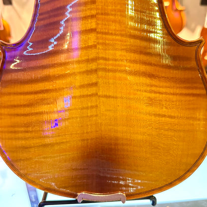 Strumenti a Corde 4500: Student Violin, Style B - 4/4
