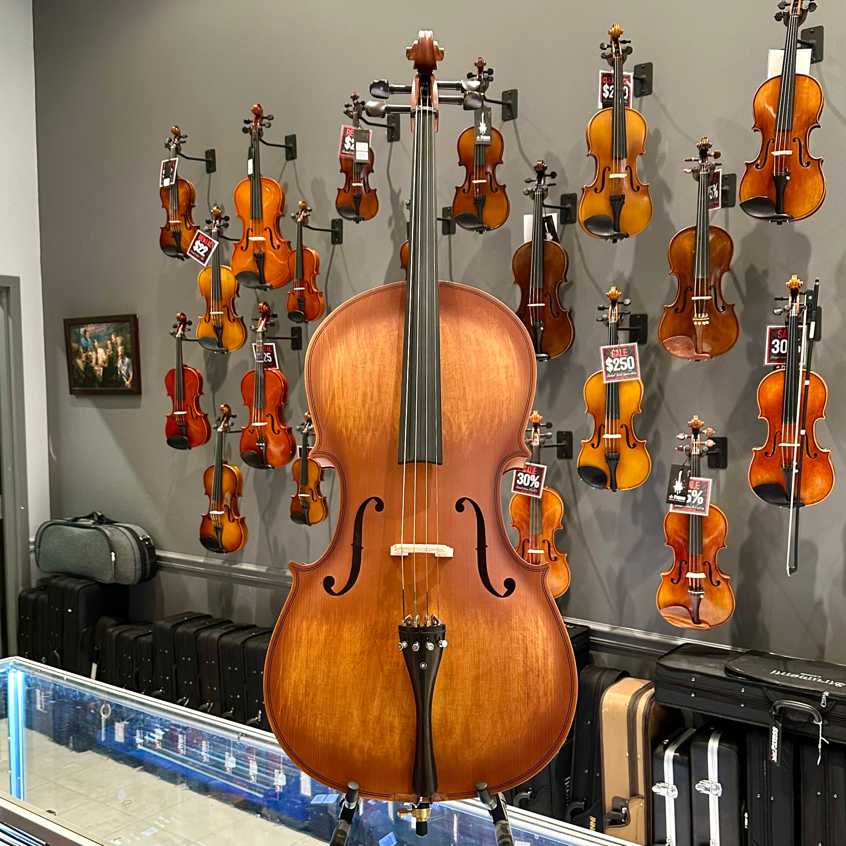 Strumenti a Corde 107: Student Cello, Solid Spruce Top, Matte Finish - 4/4