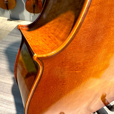 Segue: Concertino Plus, 1/2 Cello, anno 2016