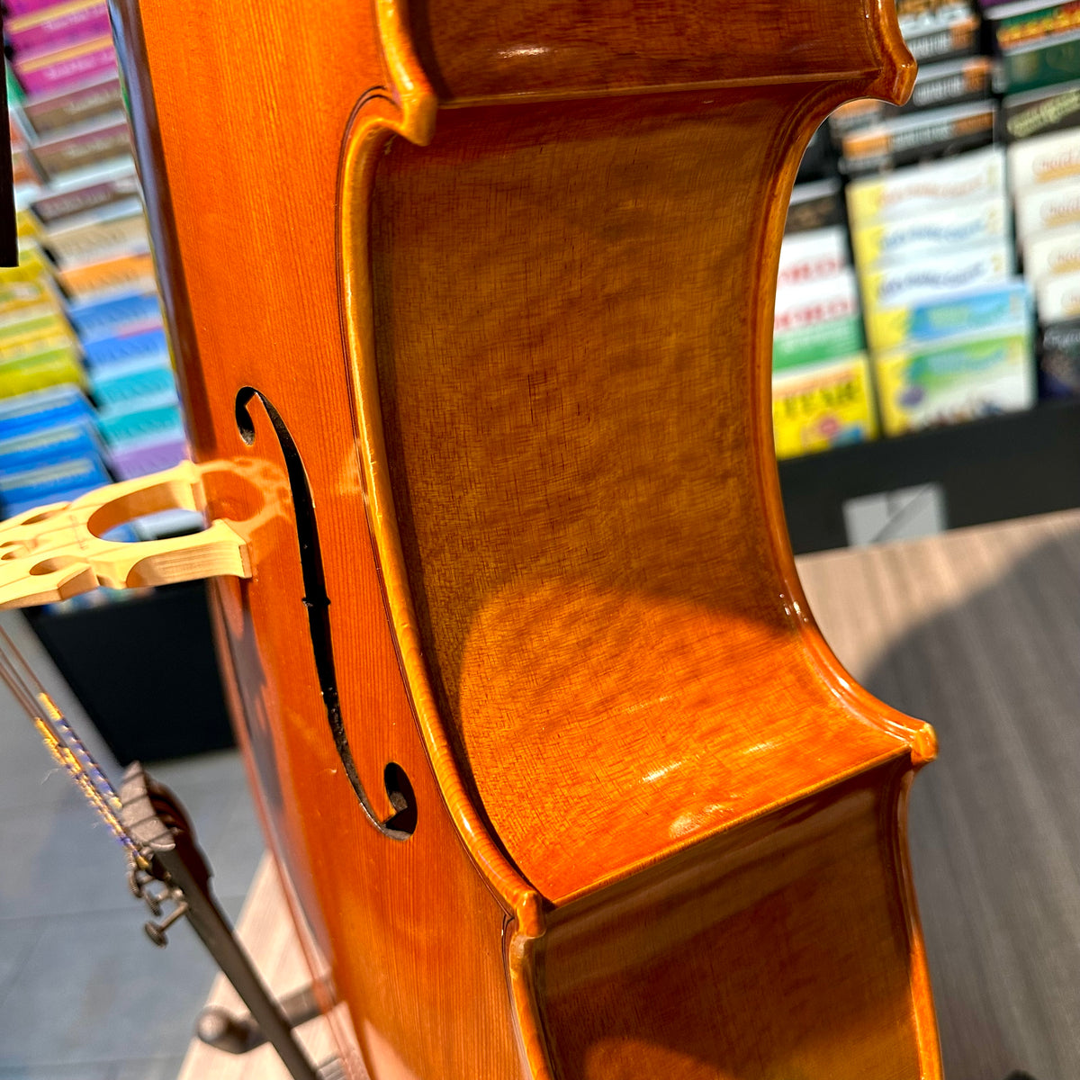 Segue: Concertino Plus, 1/2 Cello, anno 2016