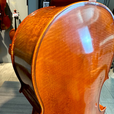 Segue: Concertino Plus, 1/2 Cello, anno 2016