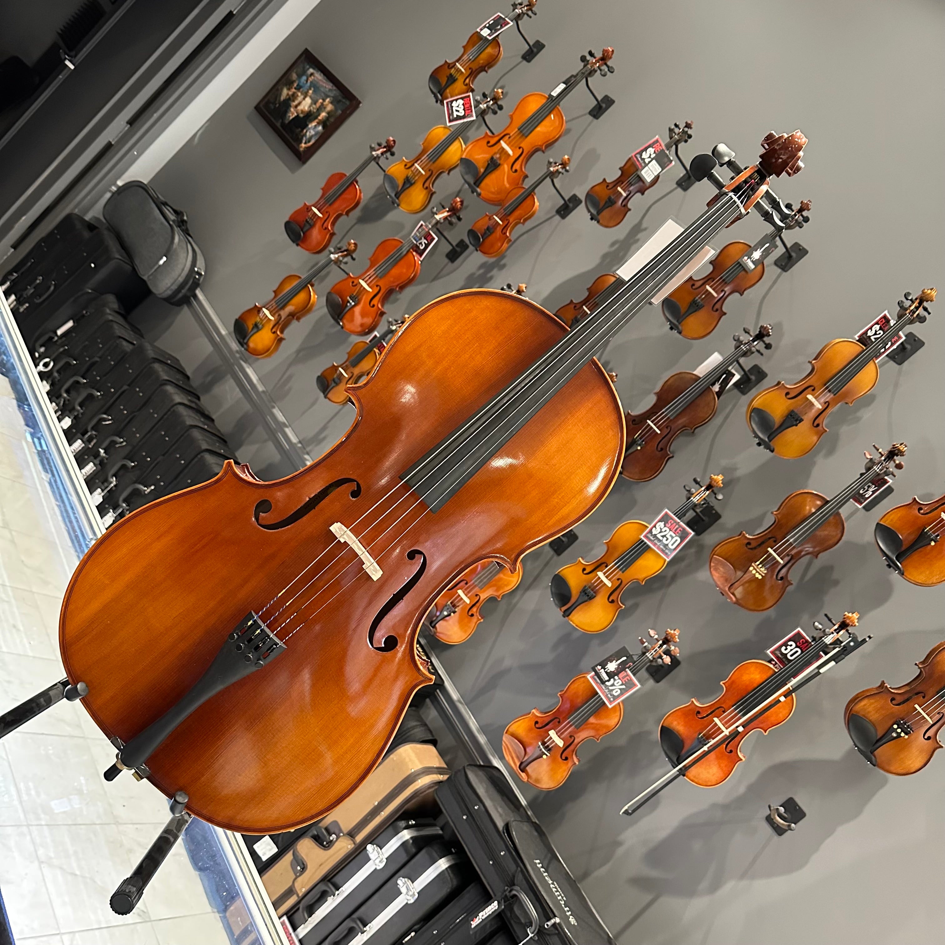 Eastman VC100: Student Cello - 4/4