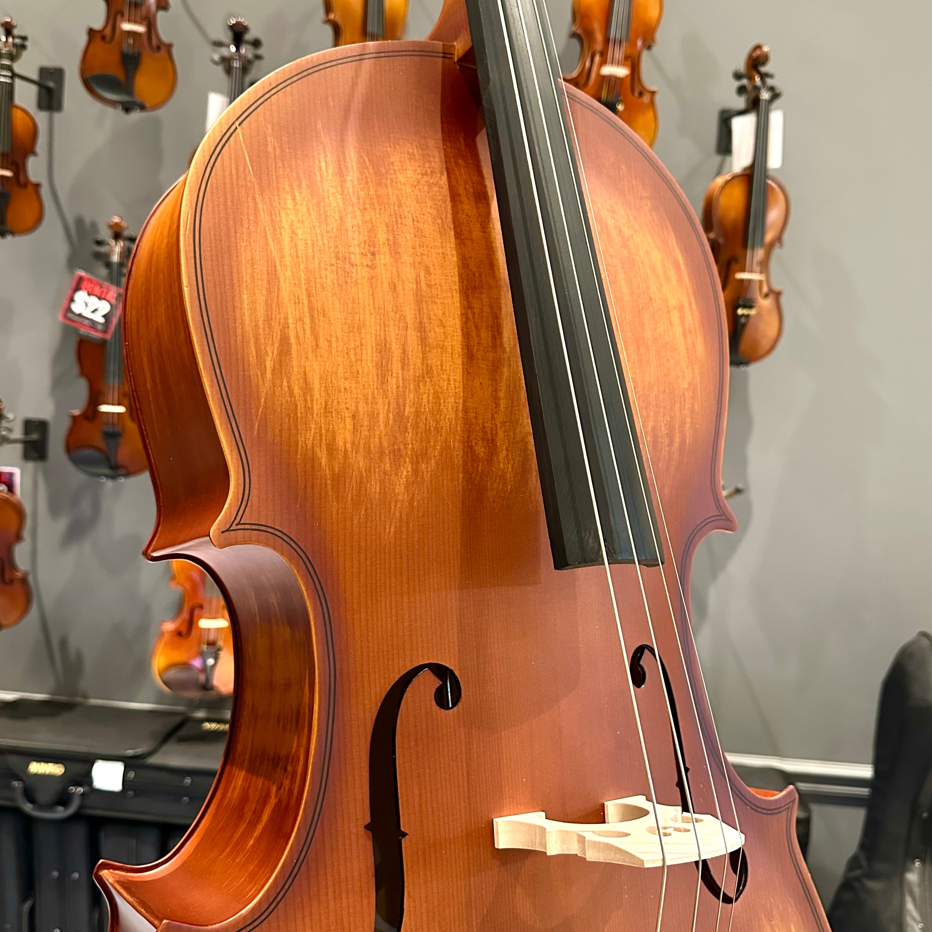 Strumenti a Corde 107: Student Cello, Solid Spruce Top, Matte Finish - 4/4