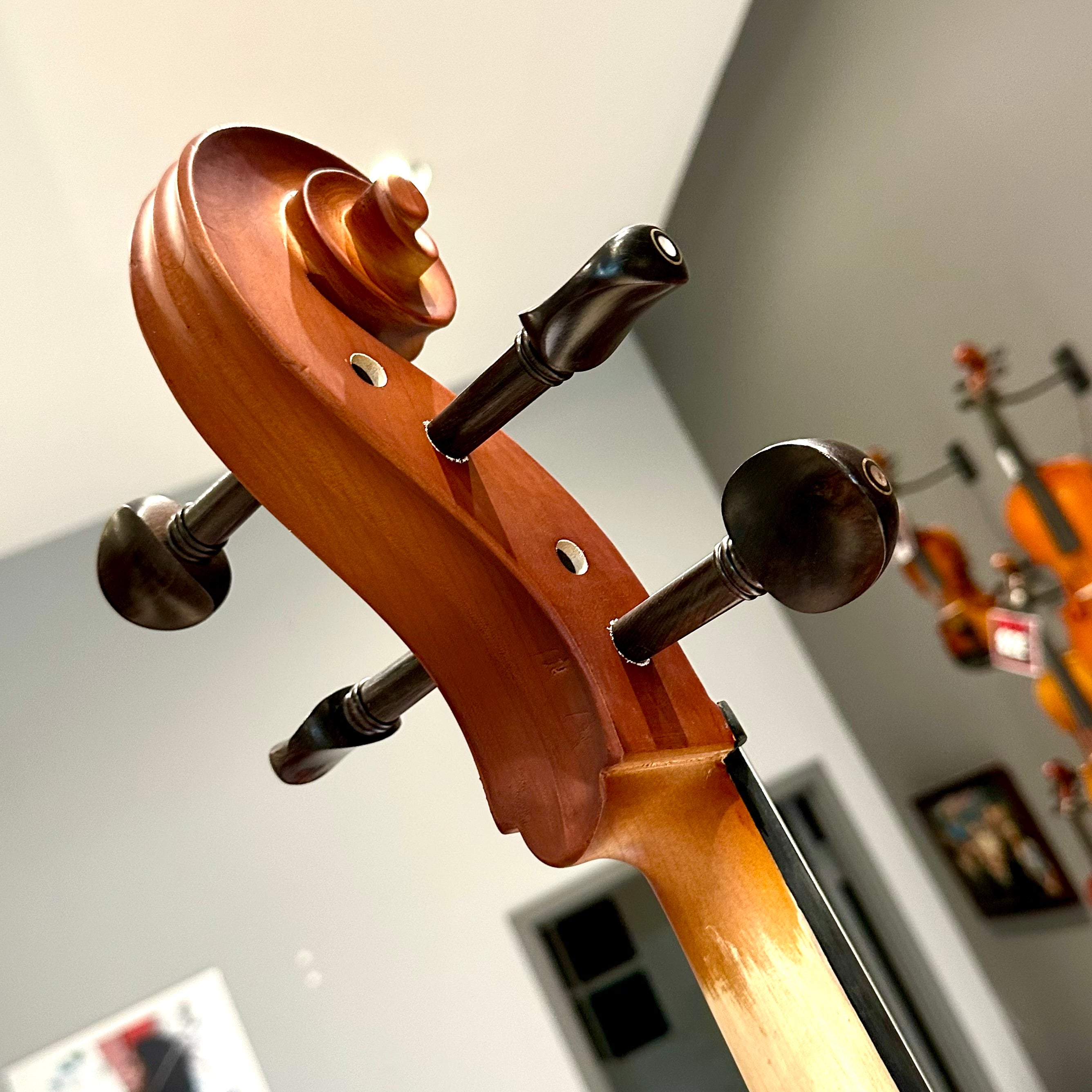 Strumenti a Corde 107: Student Cello, Solid Spruce Top, Matte Finish - 4/4